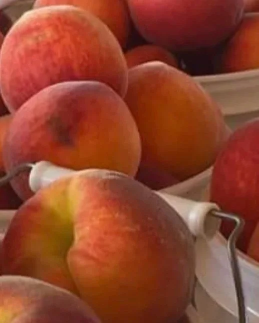 Michigan Peaches