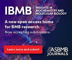 300x250-ibmb-launch.jpg
