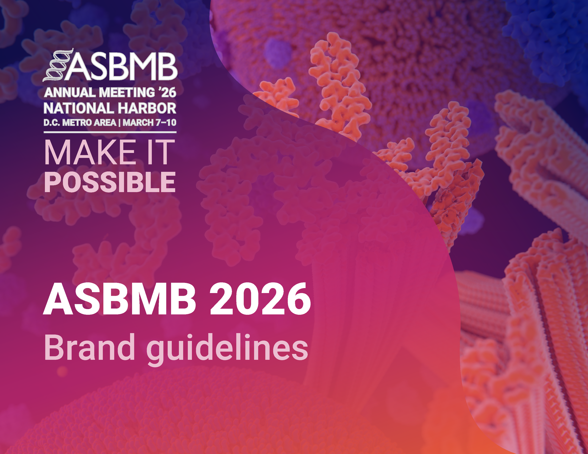 AM26 brand guidelines-01.png