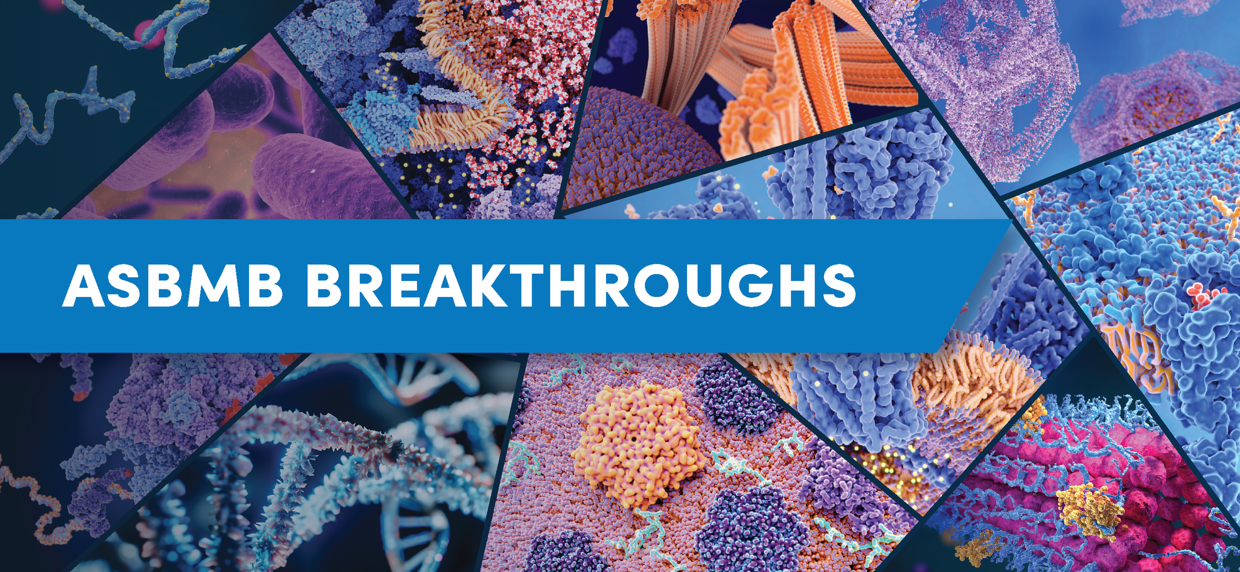 breakthroughs design draft 1_650x300-asbmbbreakthroughs-emailheader3.png