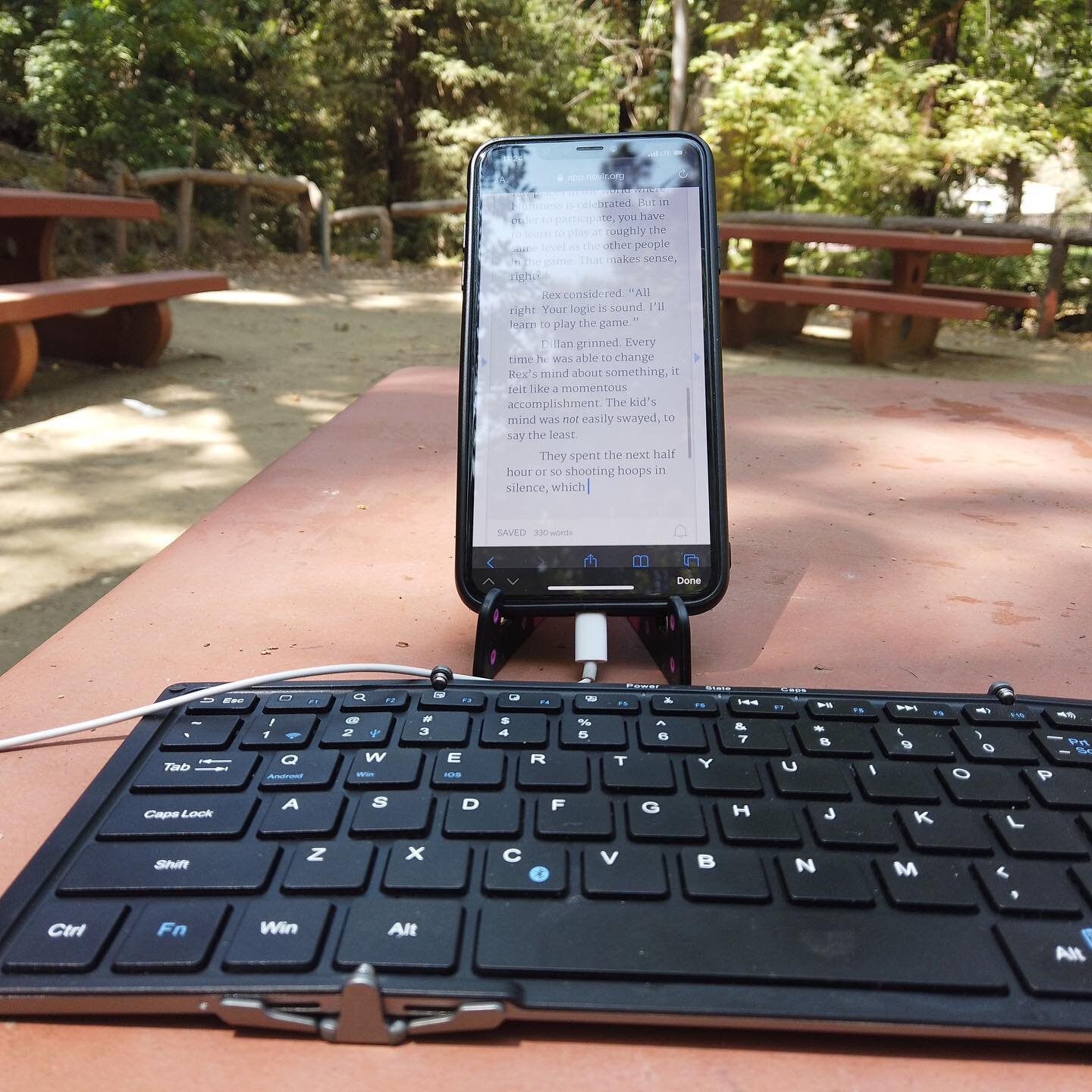 Today&rsquo;s writing view. Griffith Park. 🌲⌨️📚📖 #amwriting #romancenovels #nature #griffithpark