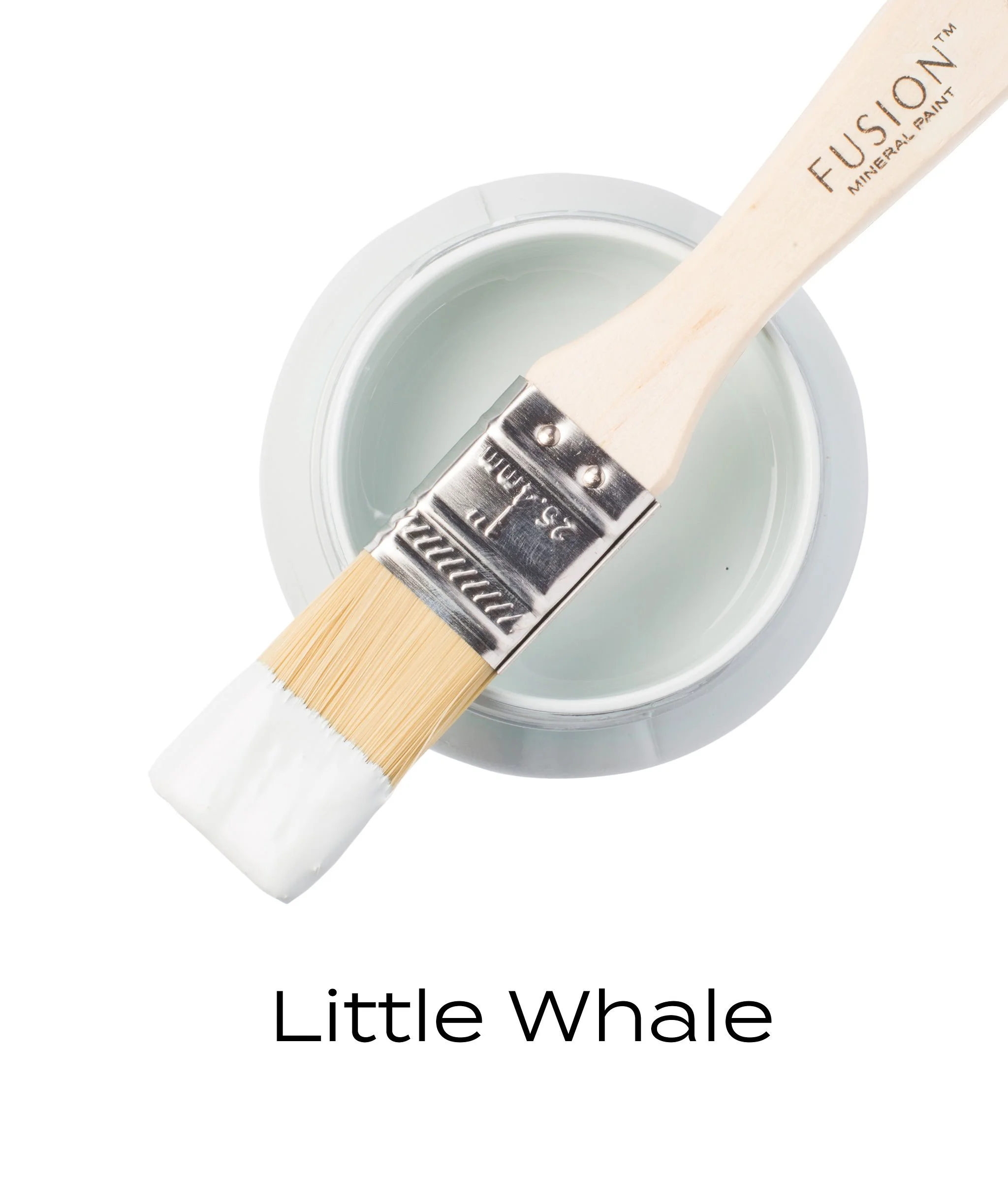 T1LITTLEWHALE.jpg