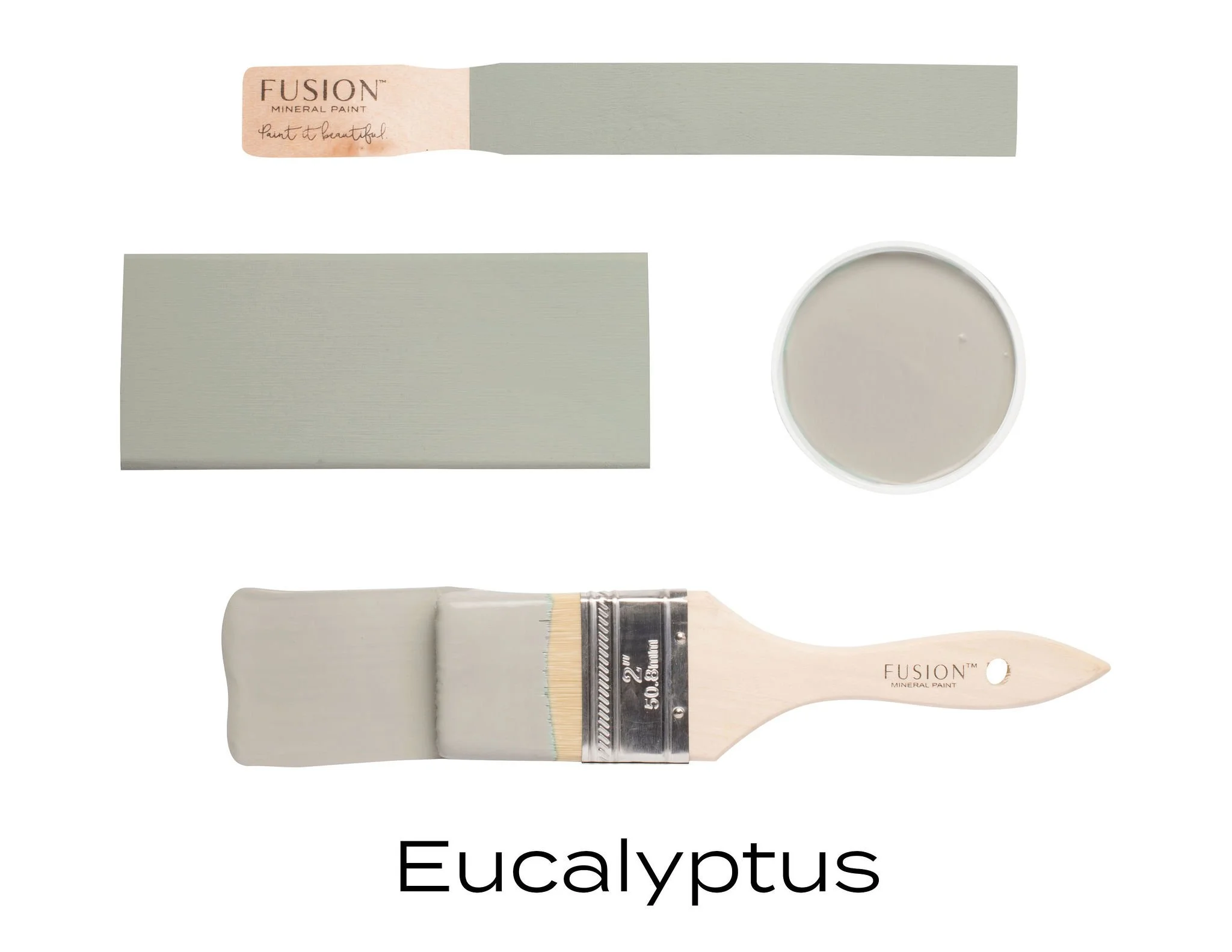 Type2FlatLay-Eucalyptus.jpg