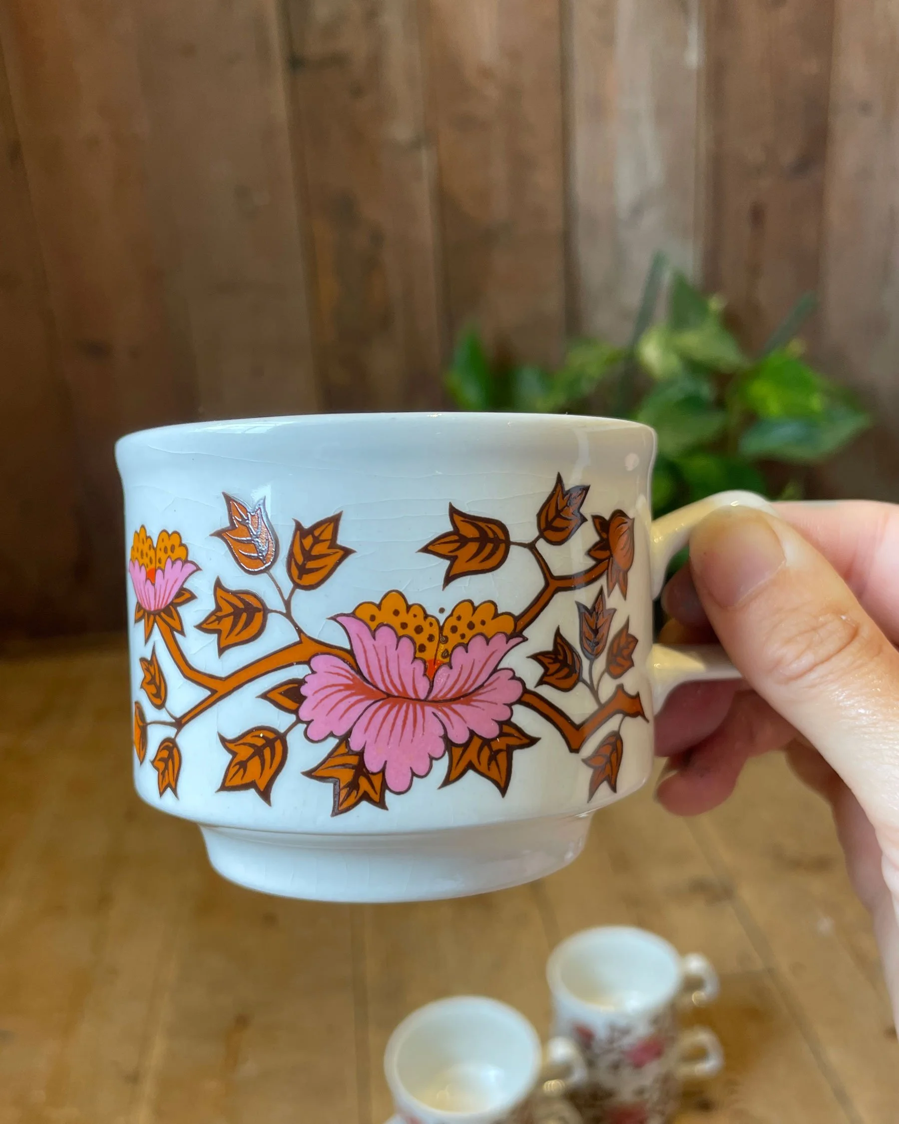 Vintage 1970s Staffordshire Potteries 'Ashley' Tea & Dinnerware Set (30pc)