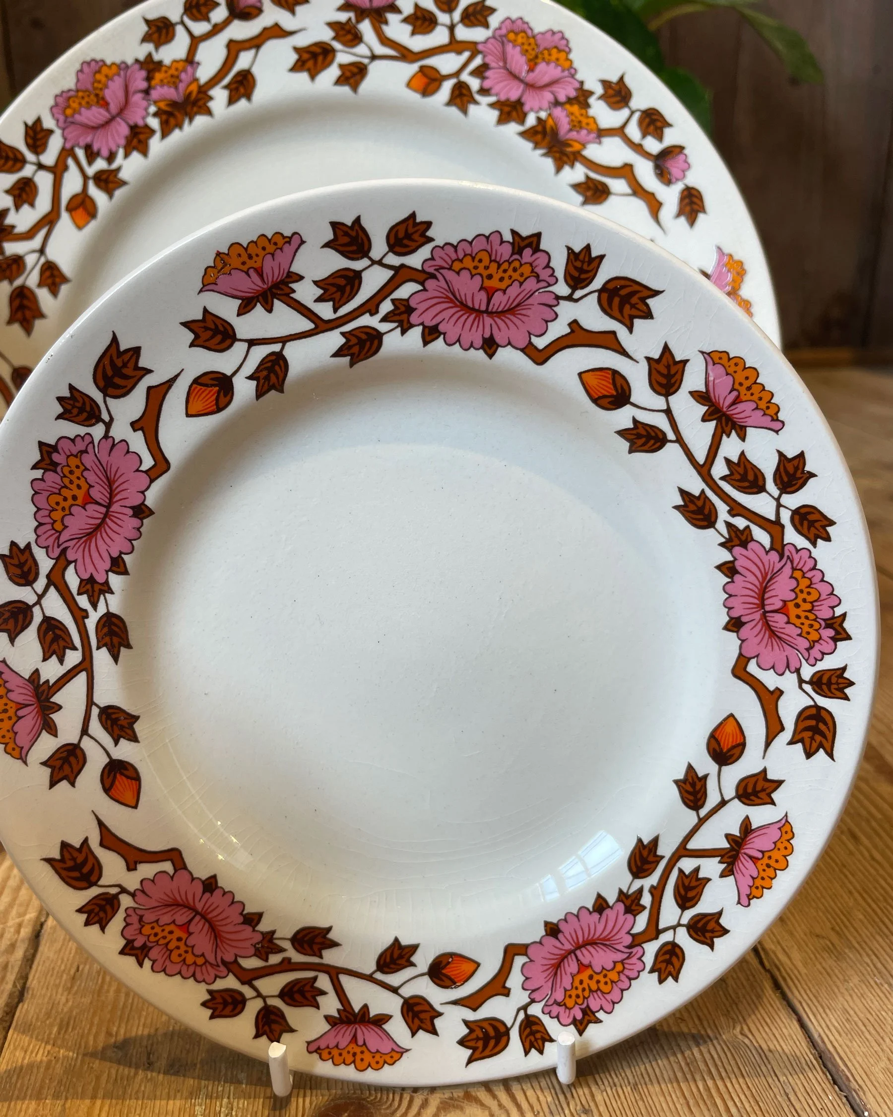 Staffordshire-Potteries---Ashley-Dinnerware-and-Tea-Set_12.jpg