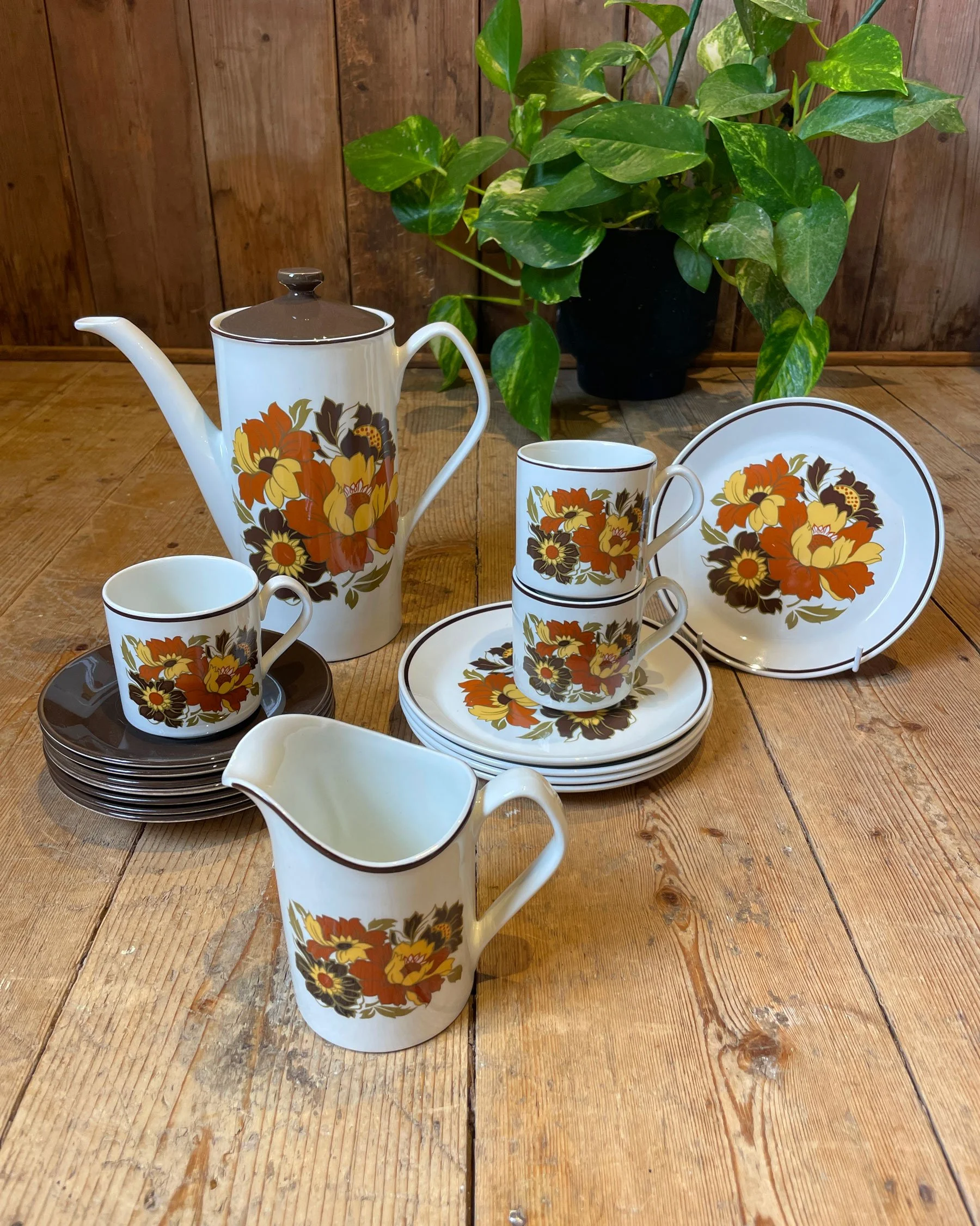 Vintage 1960s Johnson Brothers 'Cabana' Coffee / Tea Set