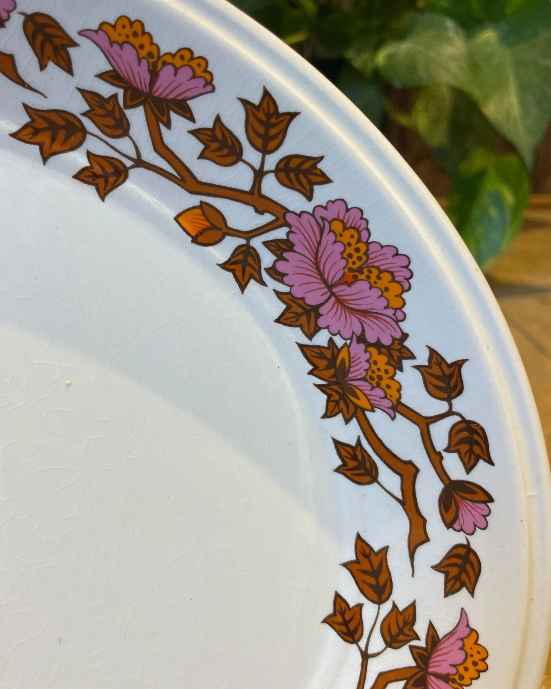 Staffordshire-Potteries---Ashley-Dinnerware-and-Tea-Set_14.jpg