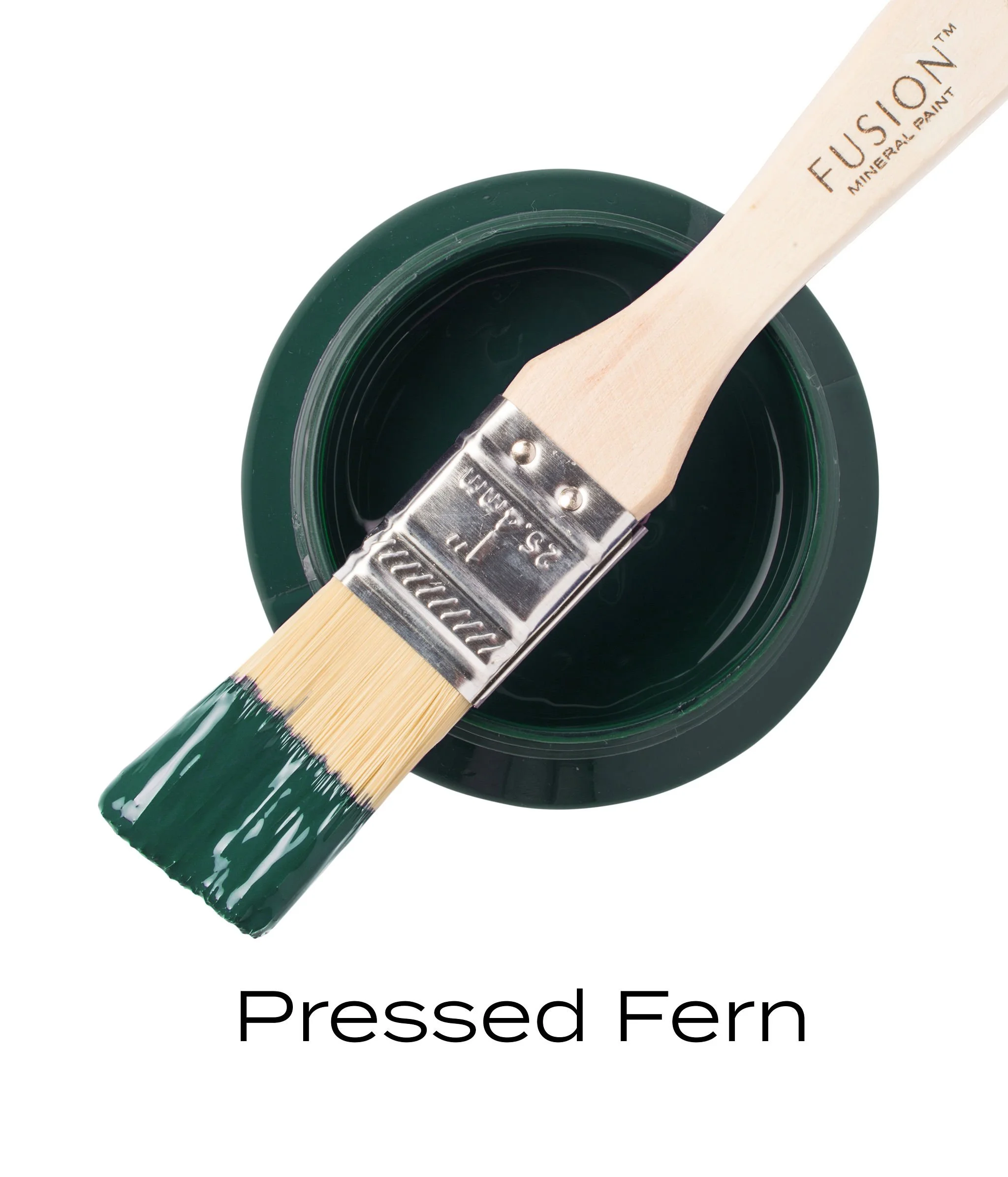 T1PRESSEDFERN.jpg