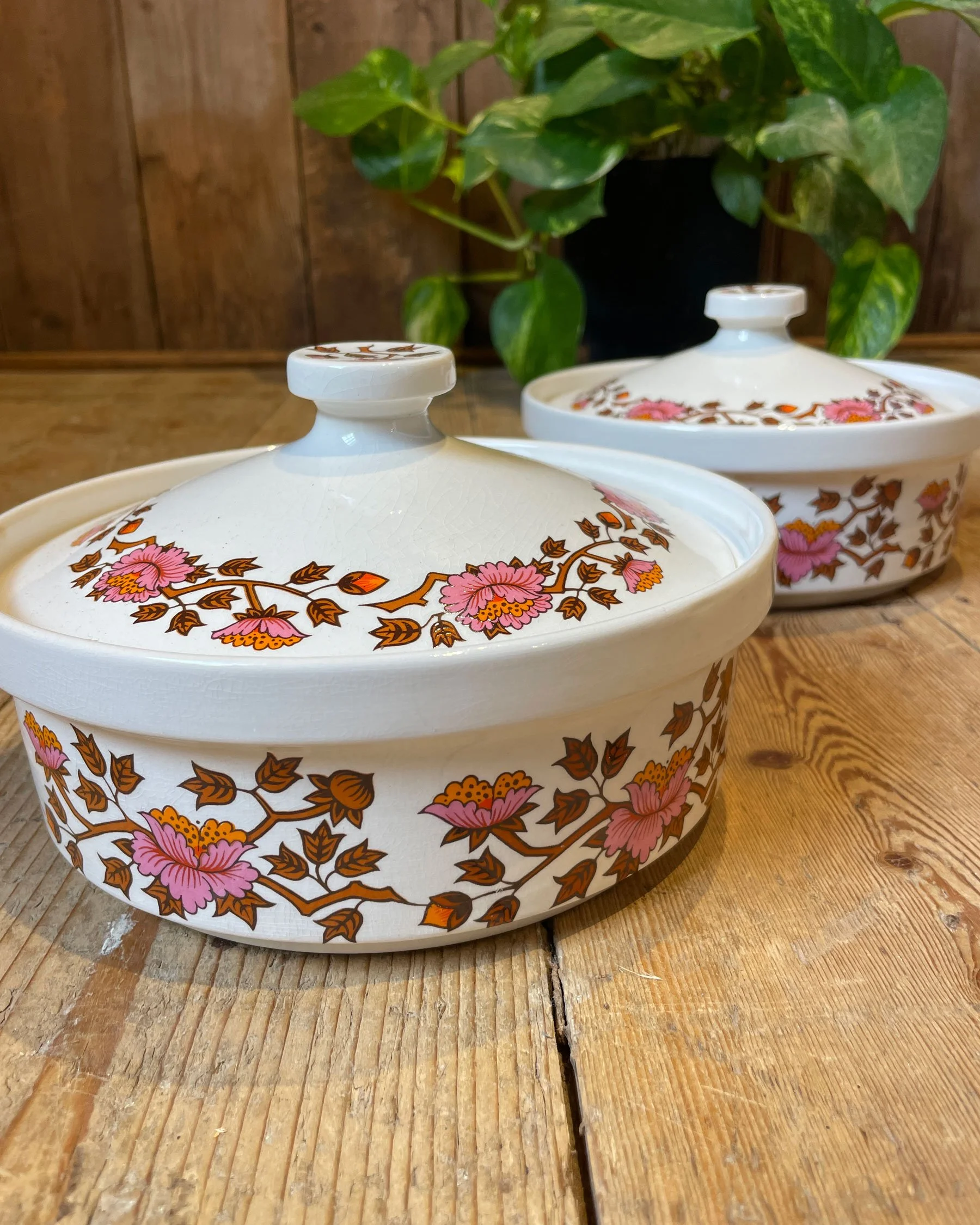 Staffordshire-Potteries---Ashley-Dinnerware-and-Tea-Set_09.jpg