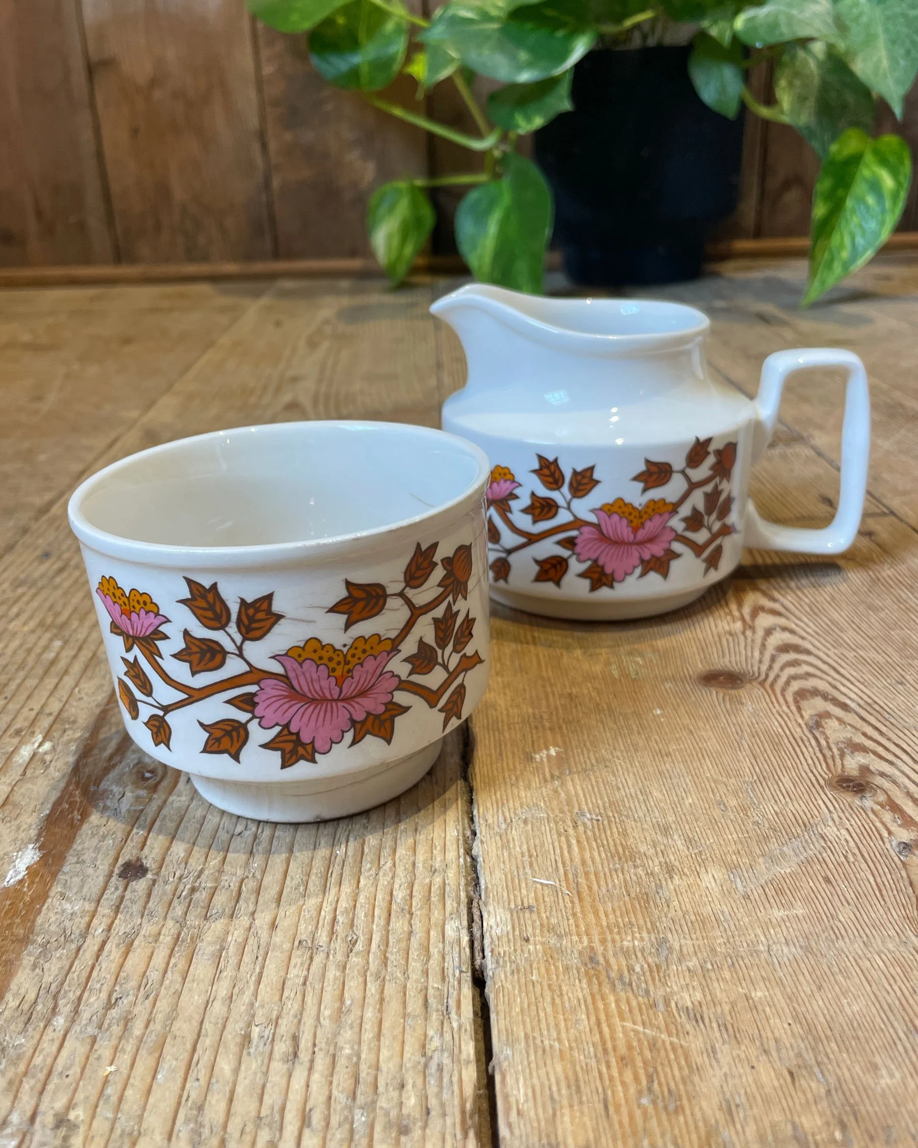 Staffordshire-Potteries---Ashley-Dinnerware-and-Tea-Set_06.jpg