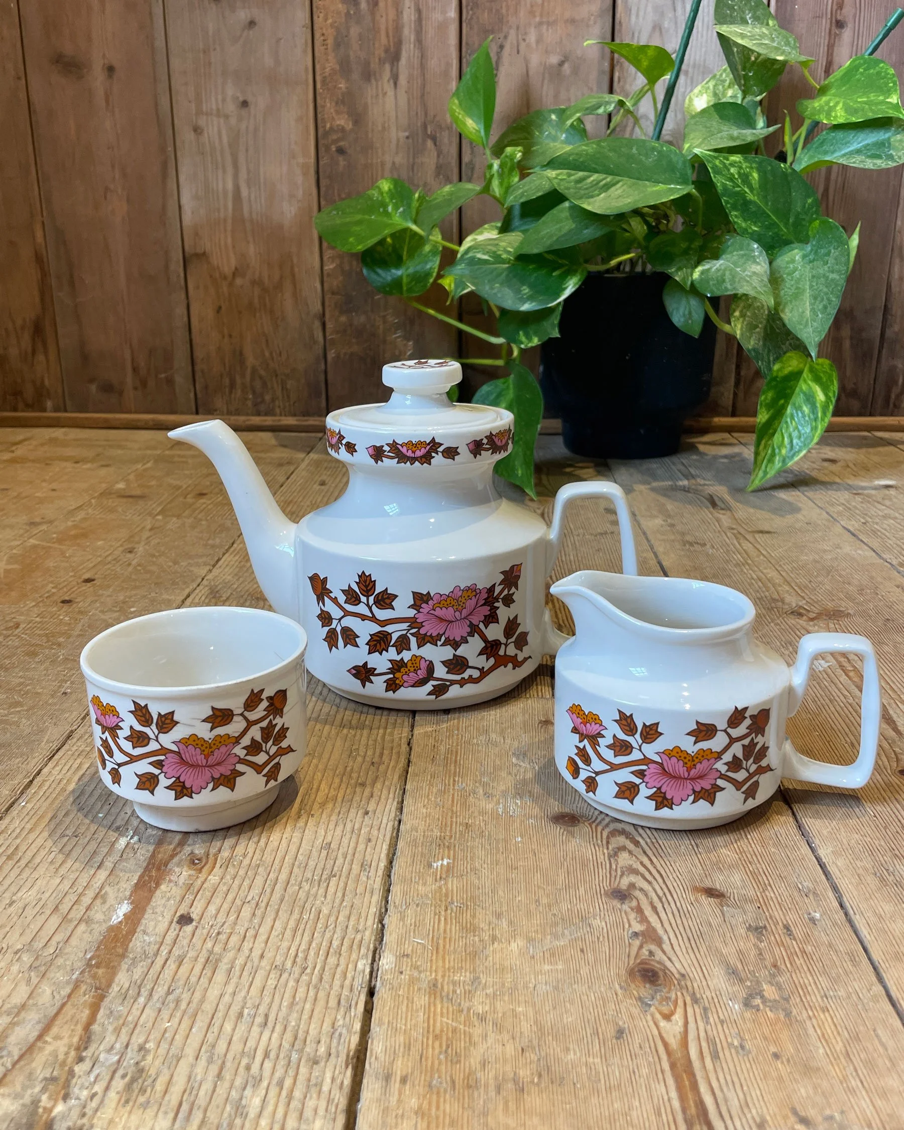 Staffordshire-Potteries---Ashley-Dinnerware-and-Tea-Set_07.jpg