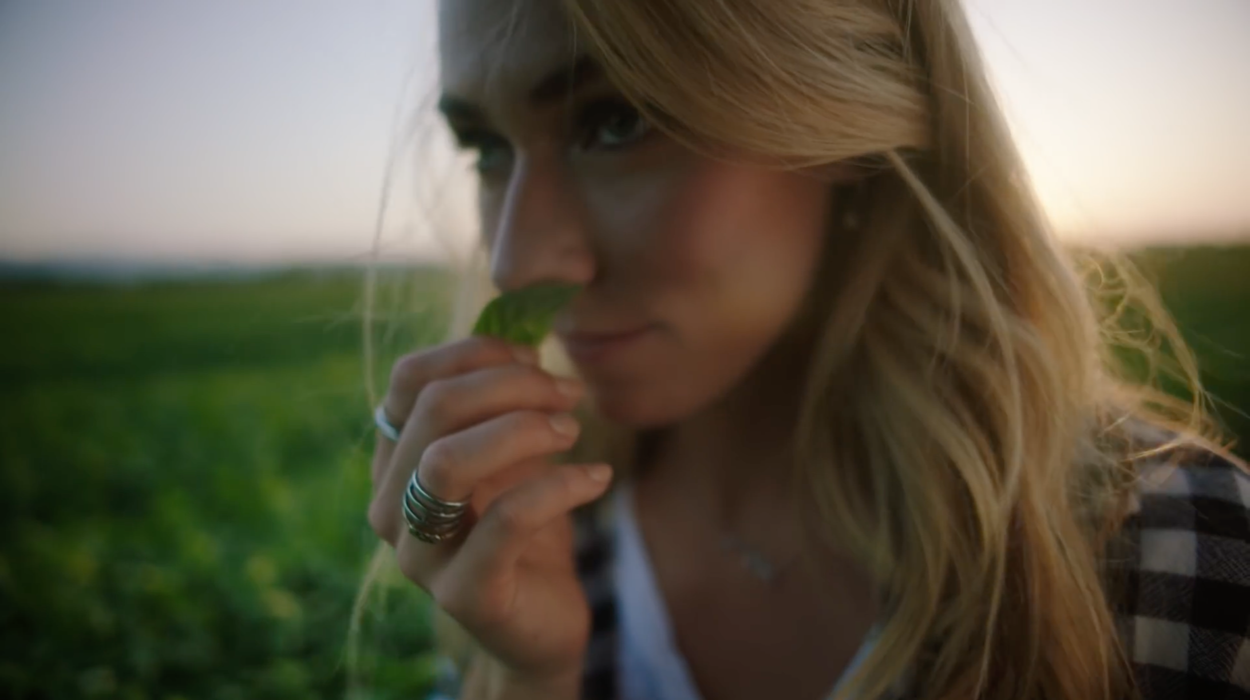 Barilla A Pesto Story