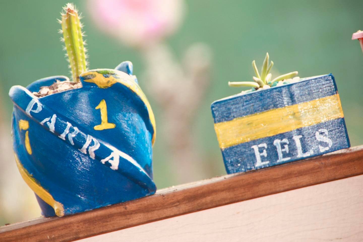 NRL Parramatta Eel Planter