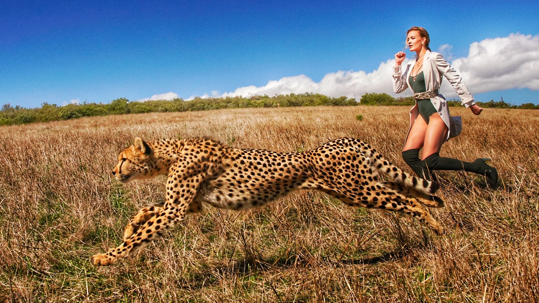 13703sc2838-01-cheetah run luna-01_.jpg