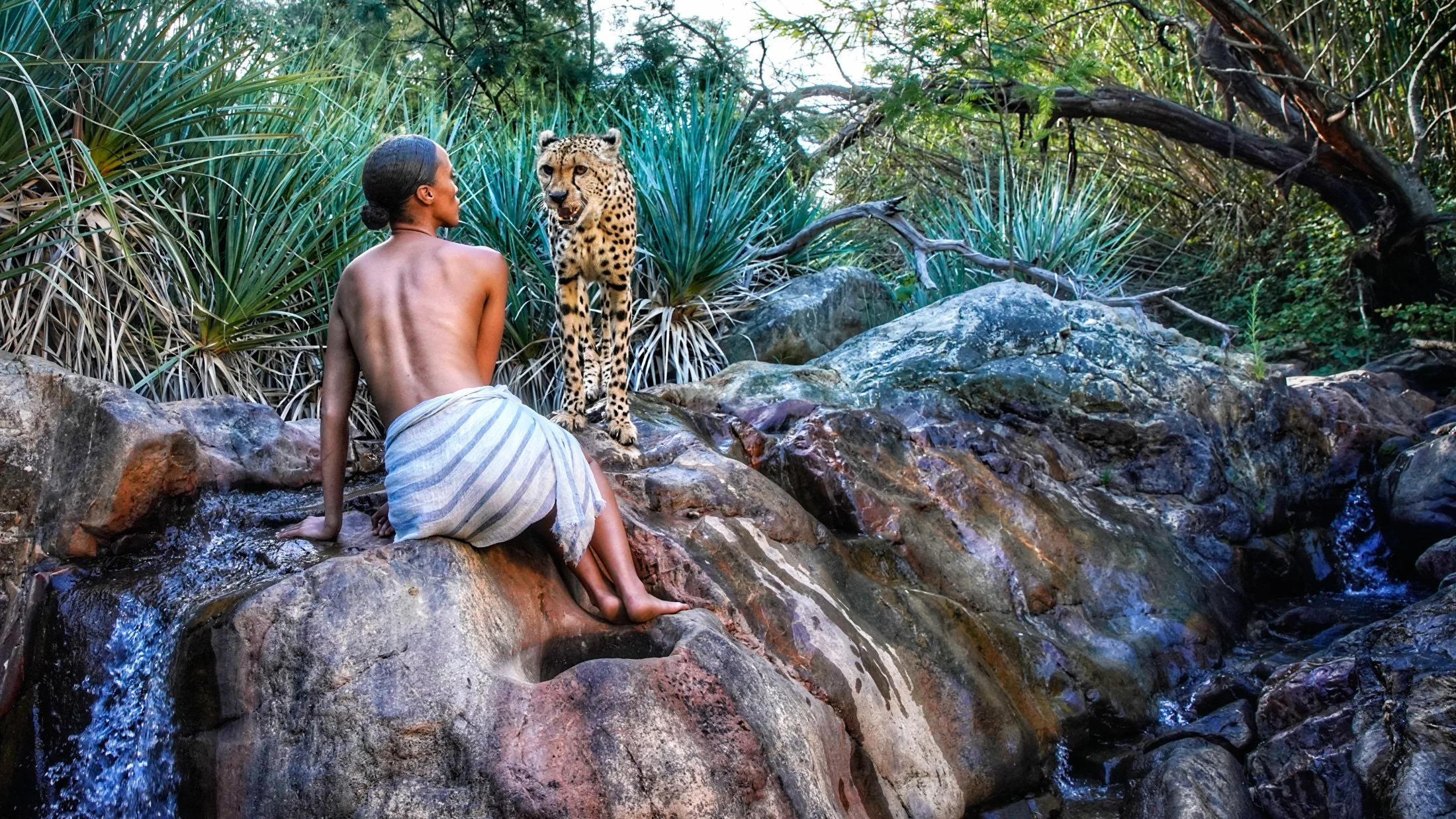 13705sc2993-03-cheetah river_.jpg