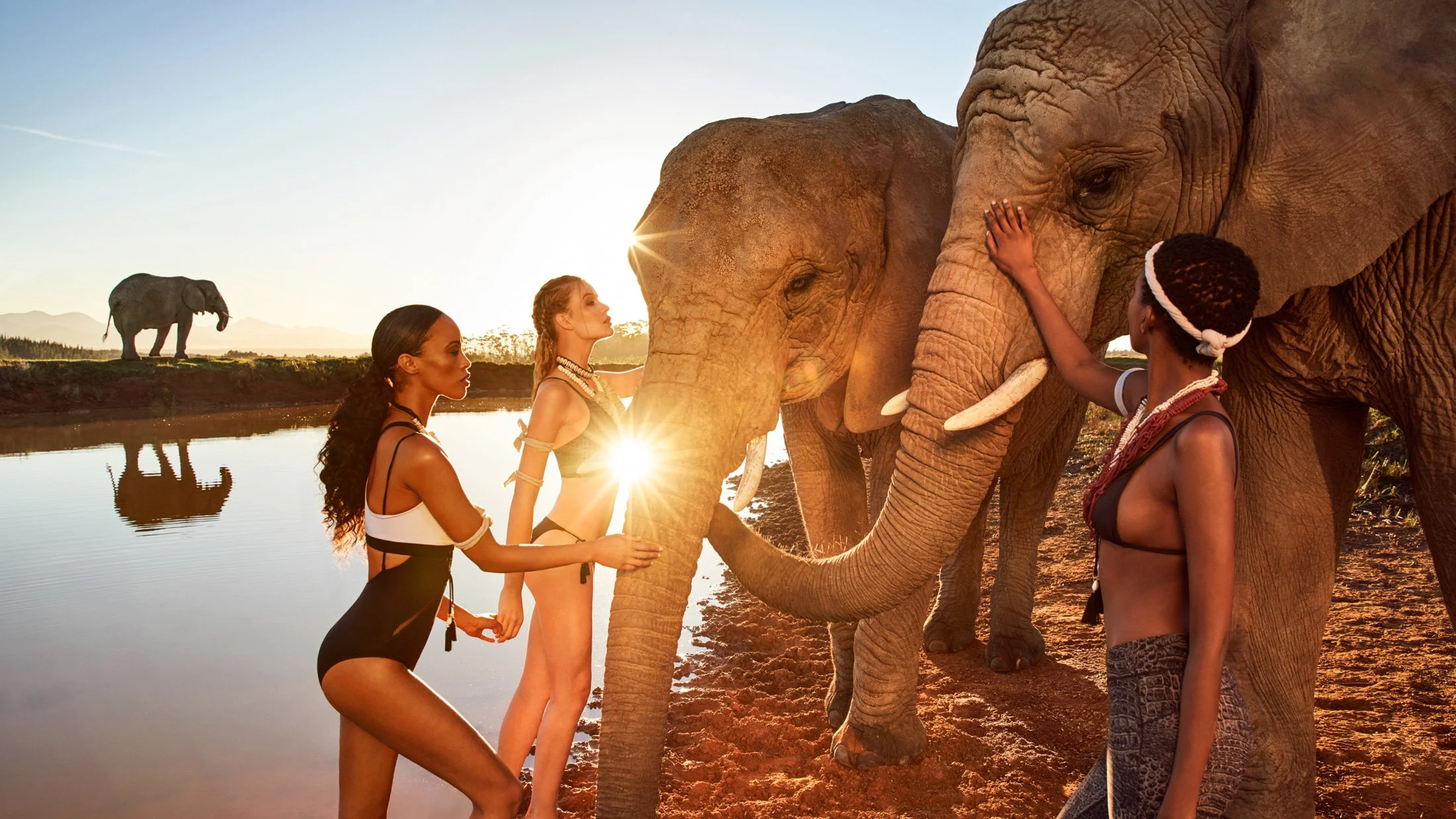 13654sc1499_elephants waterhole-05.jpg