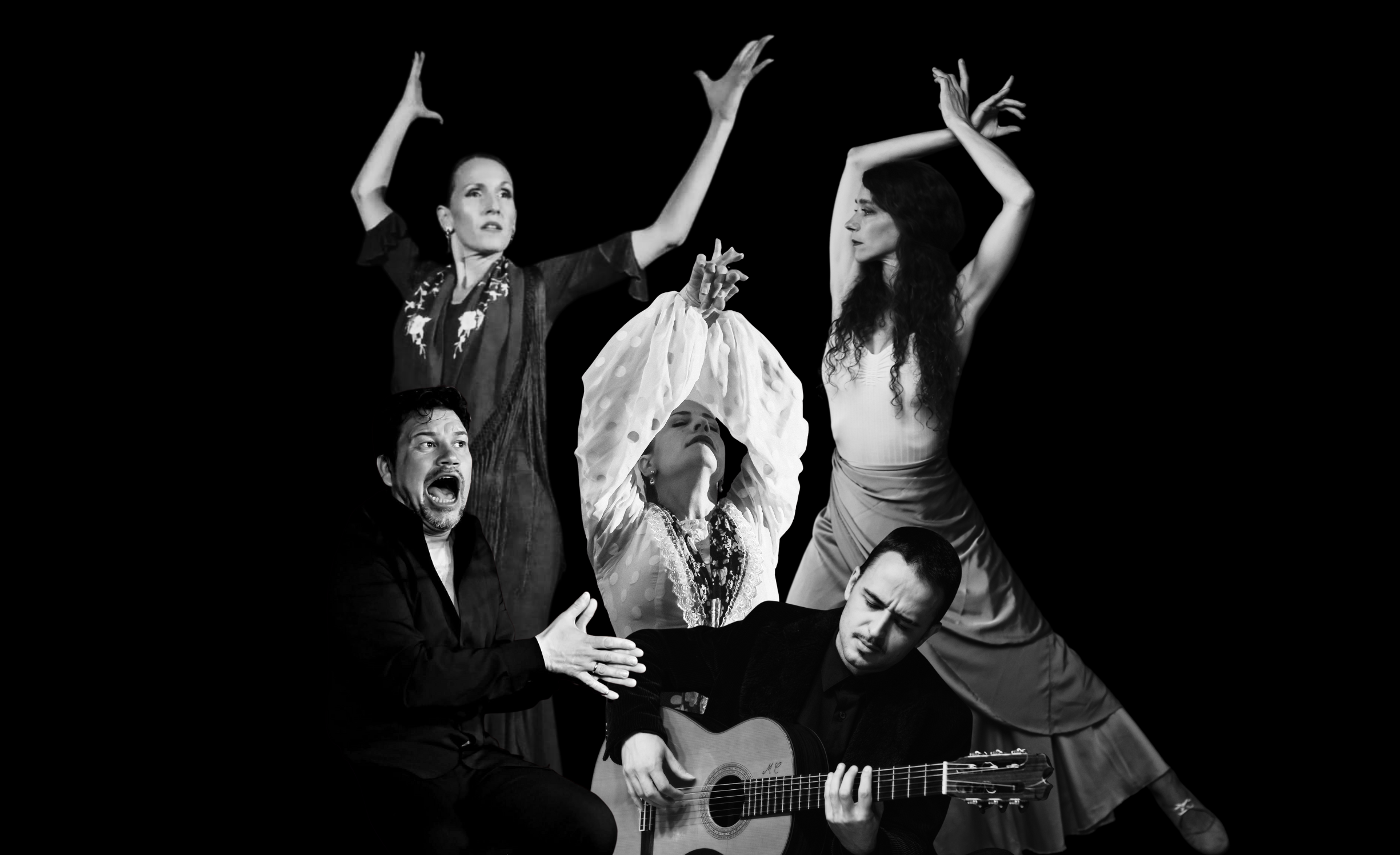 Matinée Flamenca - Theater Stok ZH