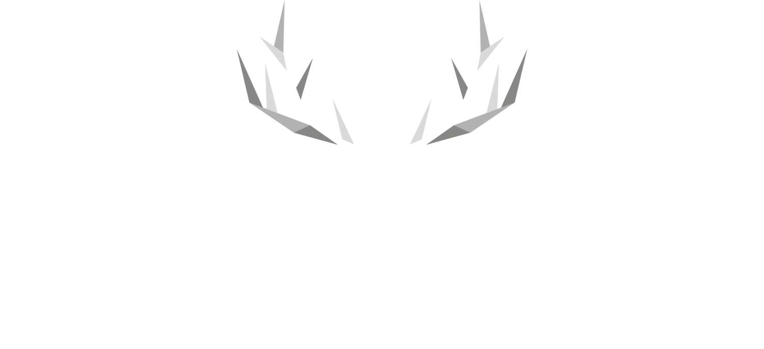 The Lochboisdale Hotel