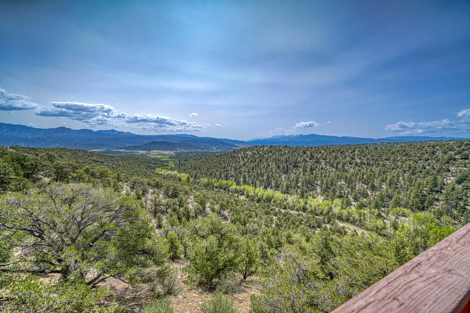 13400 Dry Gulch Rd Nathrop CO-large-112-062-Balcony View-1500x1000-72dpi.jpg