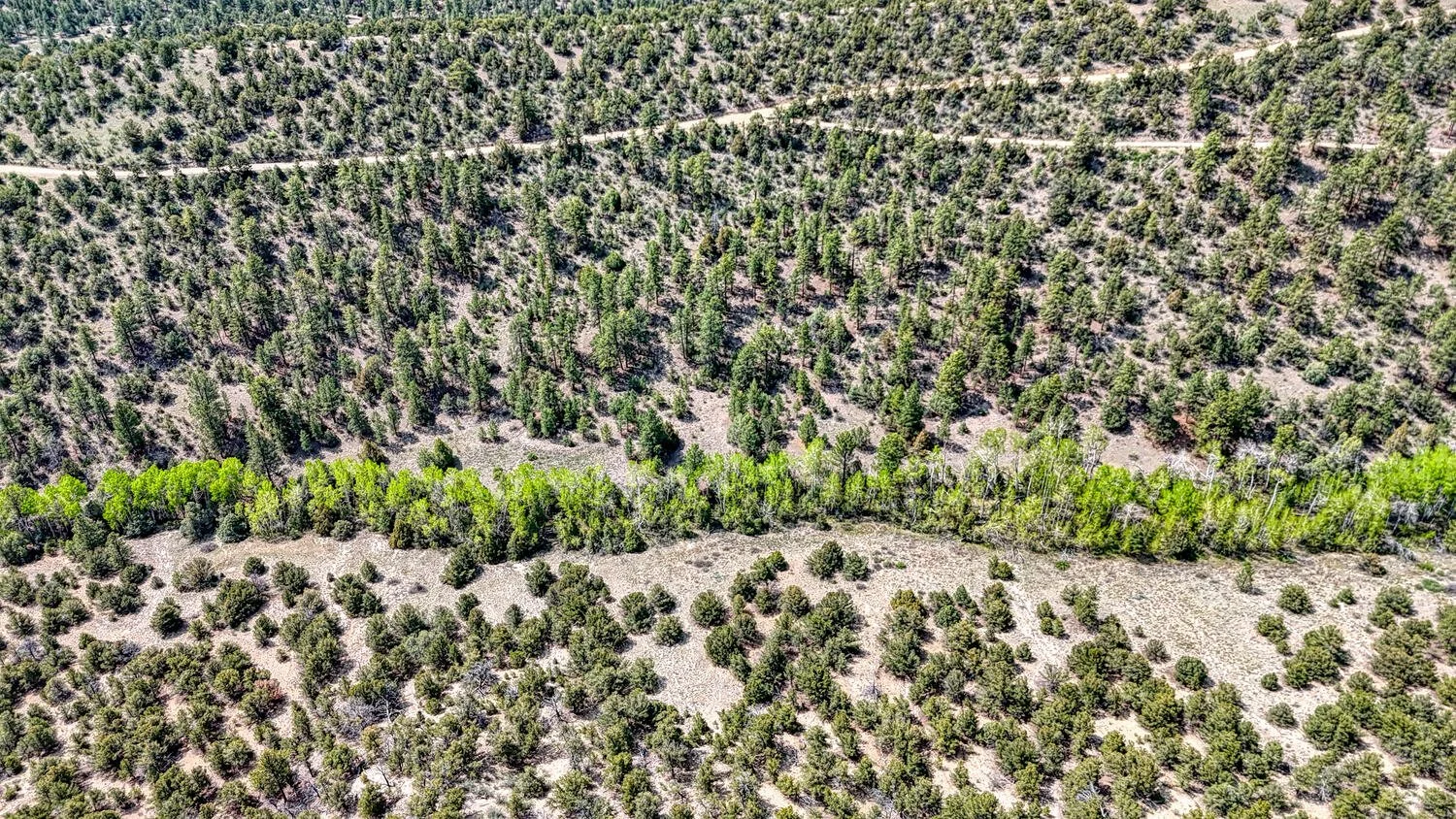 13400 Dry Gulch Rd Nathrop CO-large-133-013-Aerial-1500x844-72dpi.jpg