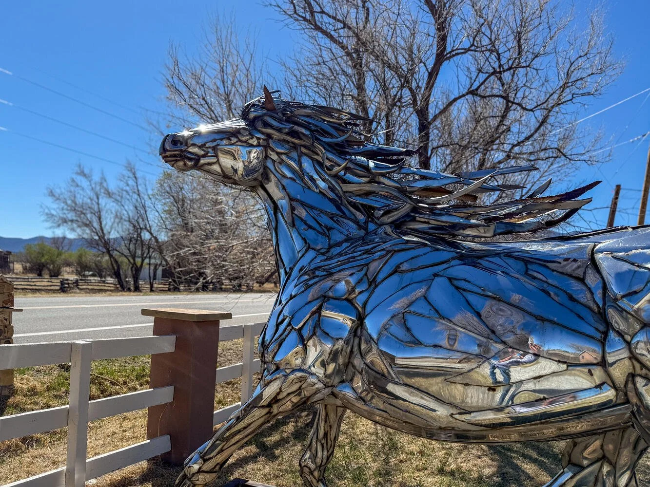 7885 CR145 Salida CO 81201 USA-large-020-071-Sculpture-1334x1000-72dpi.jpg