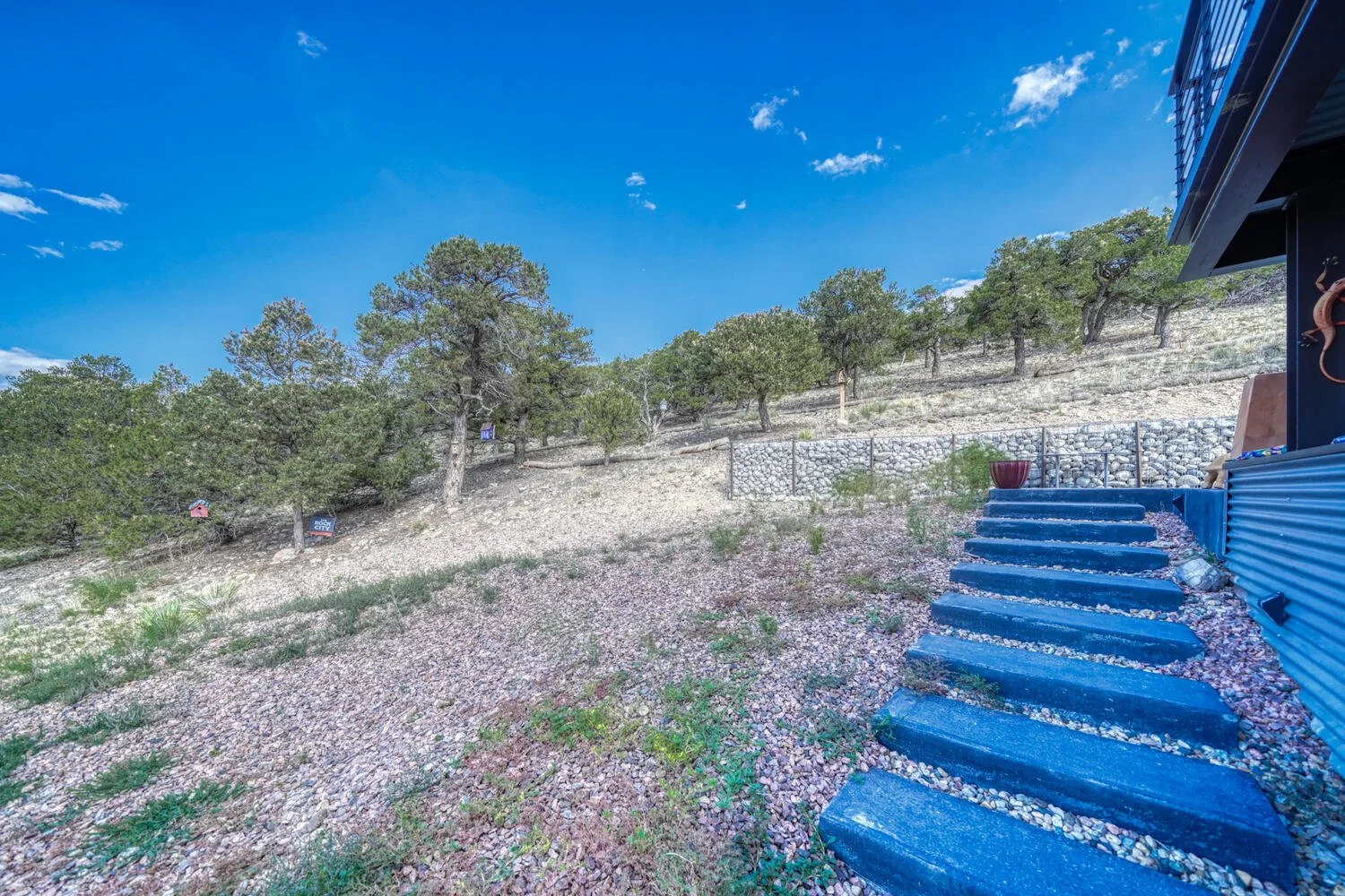 Back Yard-075-048-1500x1000.jpg