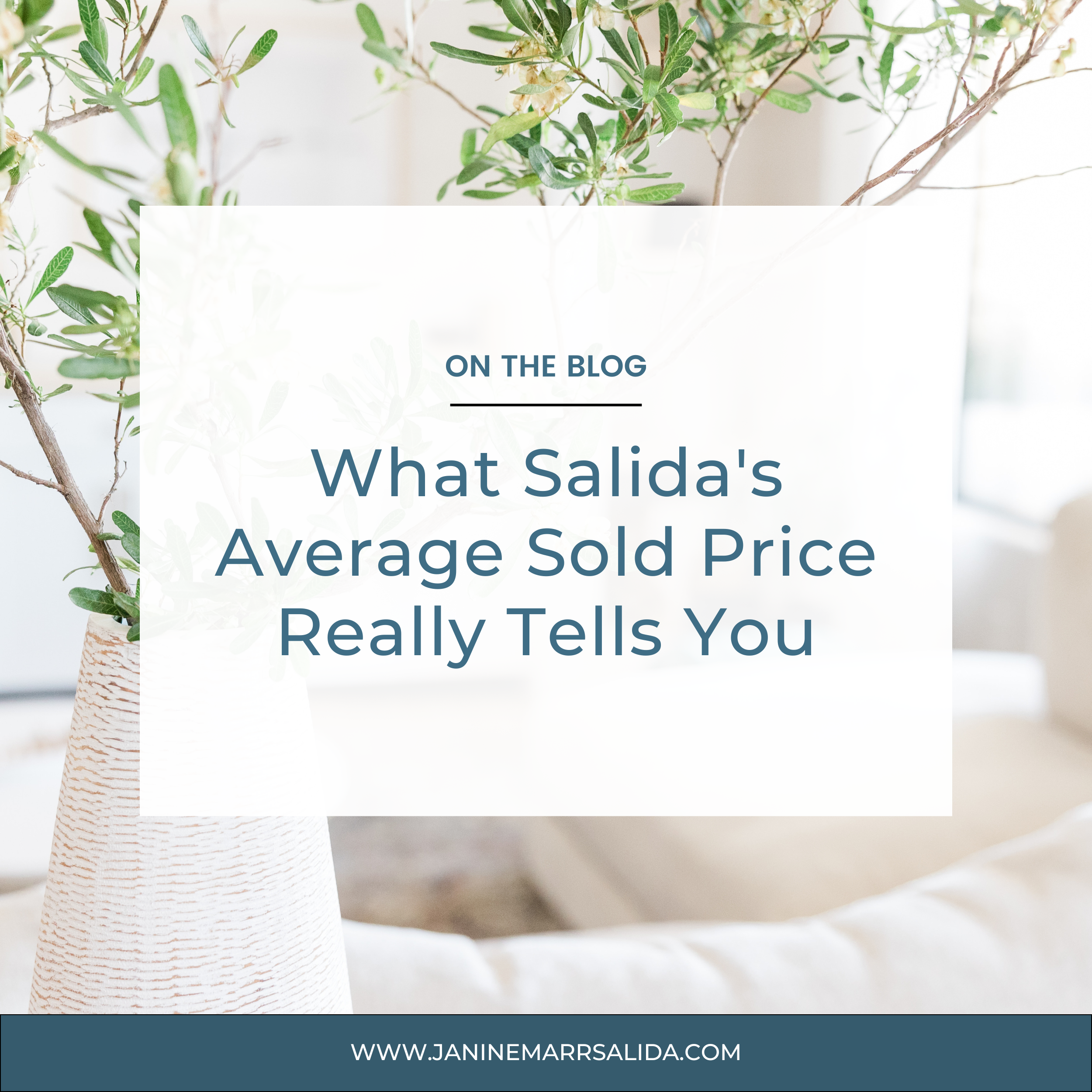 What Salida's Average Sold Price Really Tells You