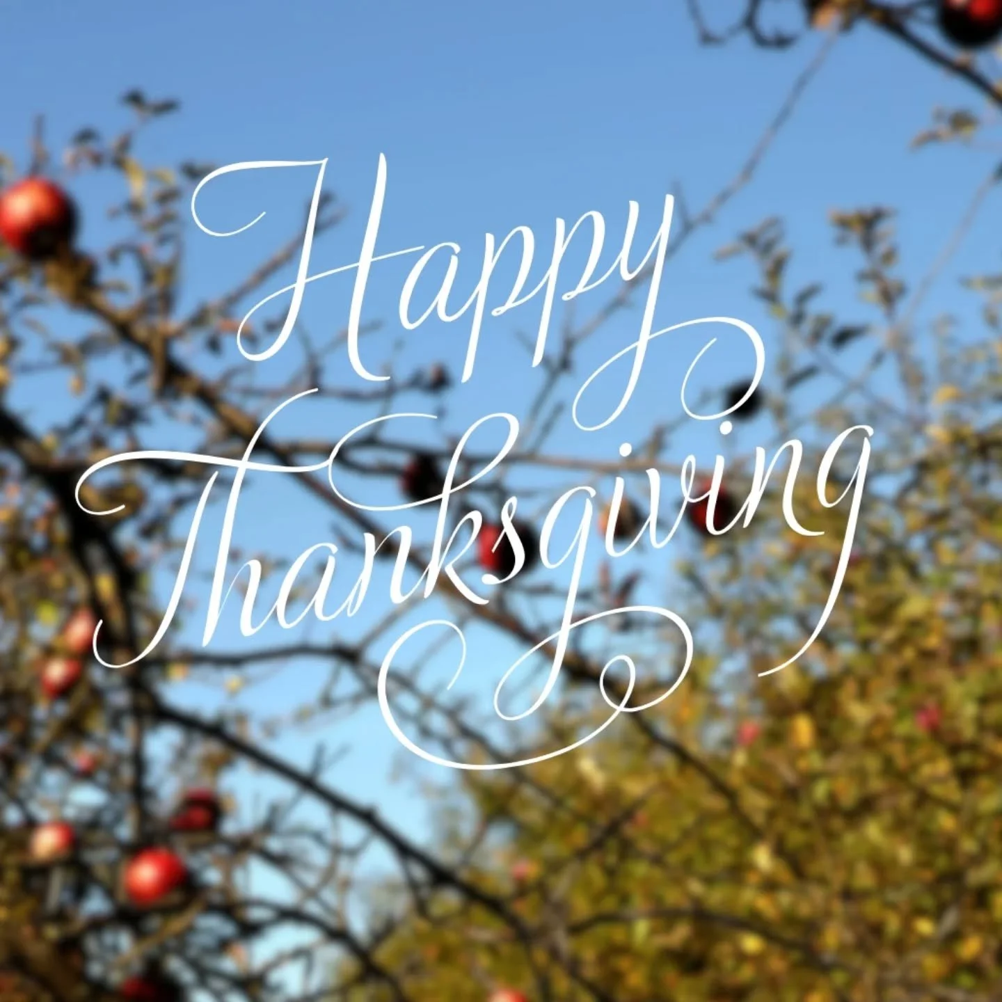 Happy Thanksgiving Grace City Church 🍁 
We are so thankful to God and all that he has done for us even though we don't deserve it or do anything it earn it. 
We are so thankful for this community, gathering of believers. What a beautiful blessing to