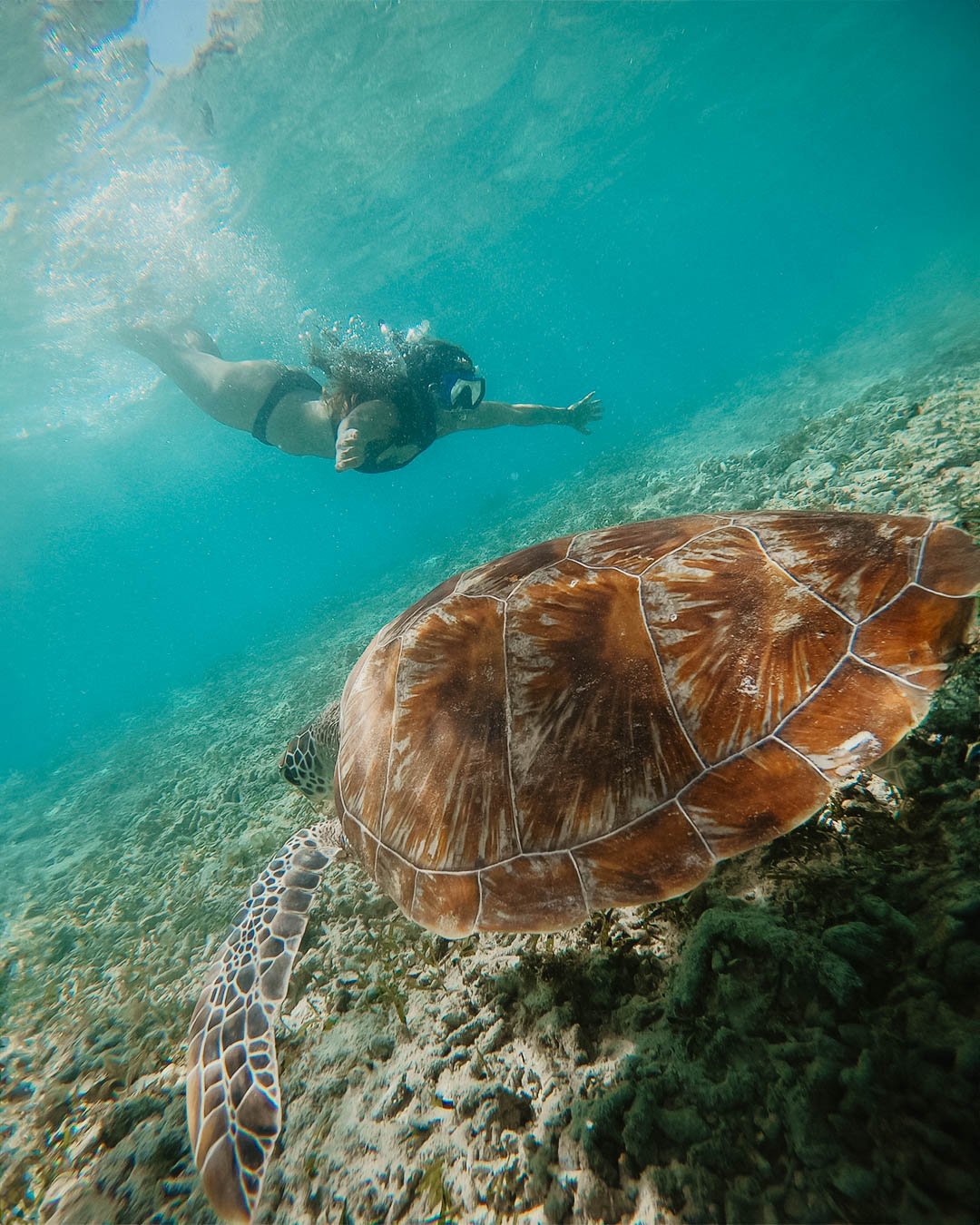 Na Honeymooners, transformamos sonhos, que muitos pensam ser imposs&iacute;vel, em realidade. 😍

Com respeito e admira&ccedil;&atilde;o pelo mar e os seu habitantes, proporcionamos experi&ecirc;ncias que permitem estar a uma dist&acirc;ncia minima d