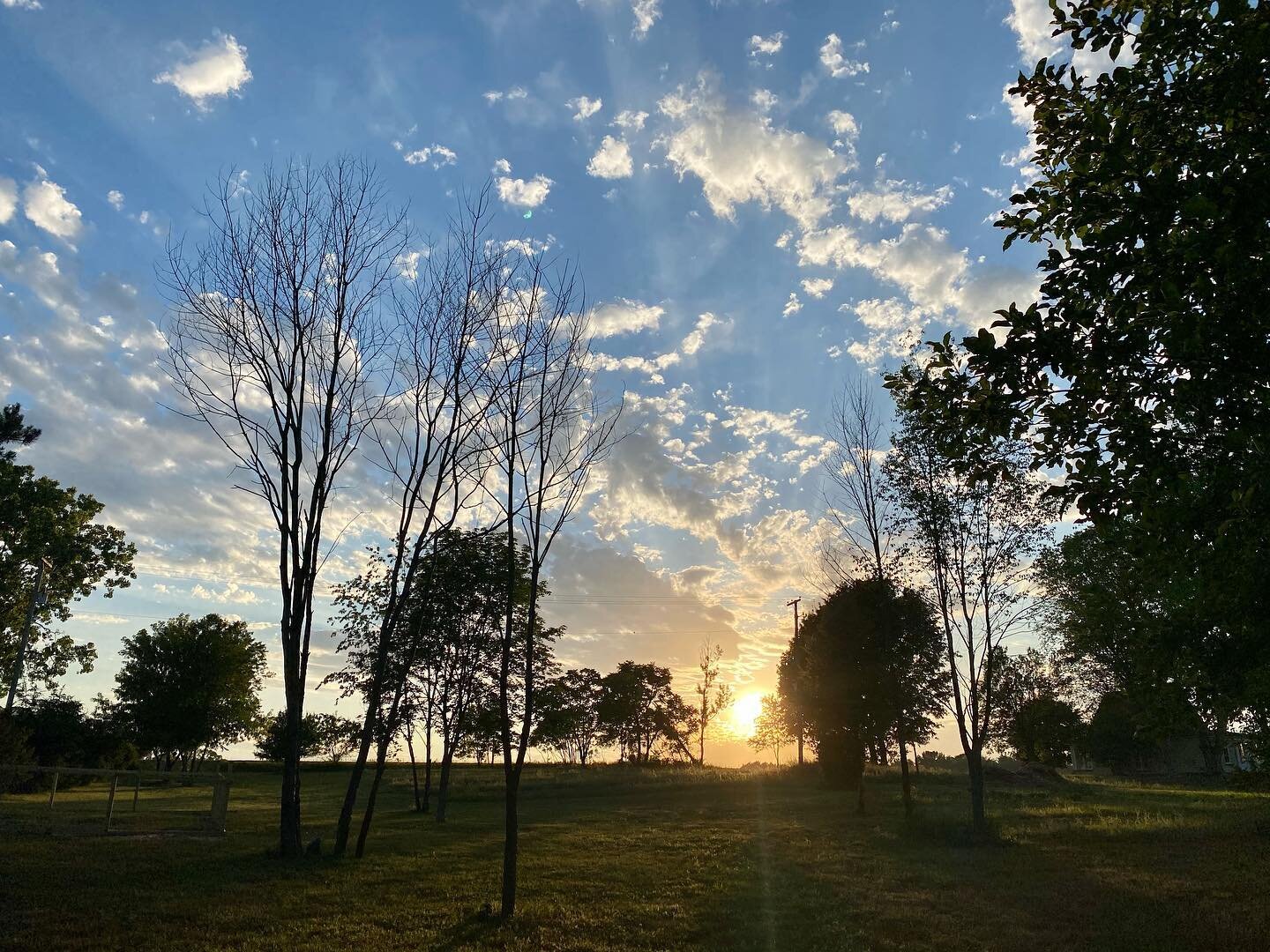 Happy Friday 🌻🌱 feeling grateful for some much needed rain this morning