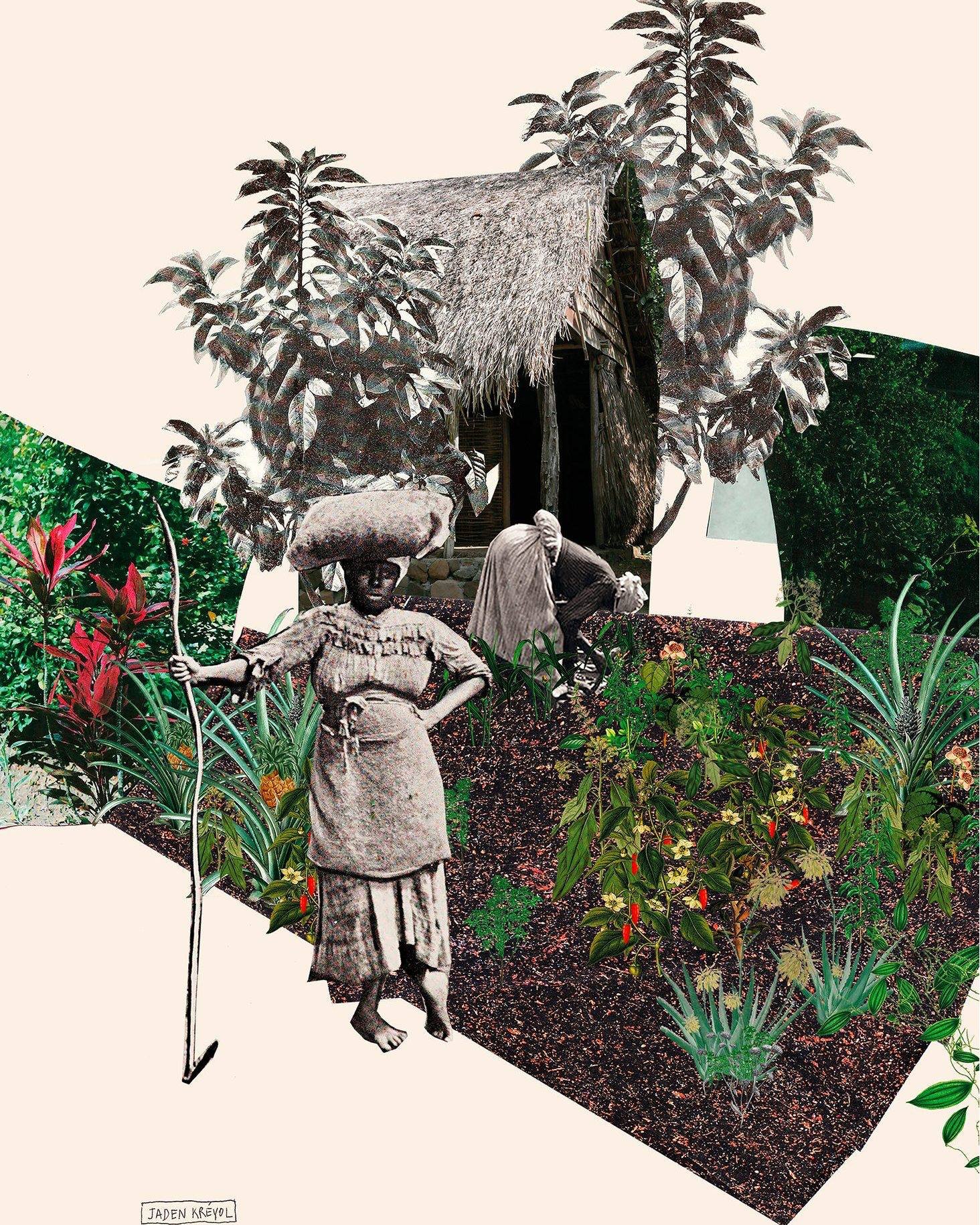 Se r&eacute;approprier l'histoire culturelle post-coloniale

Ouvrir un imaginaire nouveau de l&rsquo;histoire des Antilles &agrave; travers la vision de dach&amp;zephir.
Des images expos&eacute;es dans le cadre des Rencontres Photographiques de Guyan