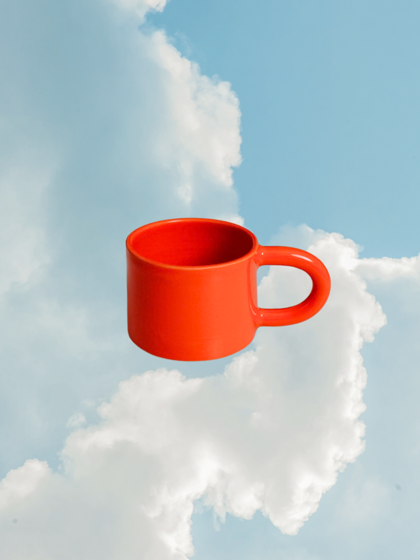 Persimmon Mug