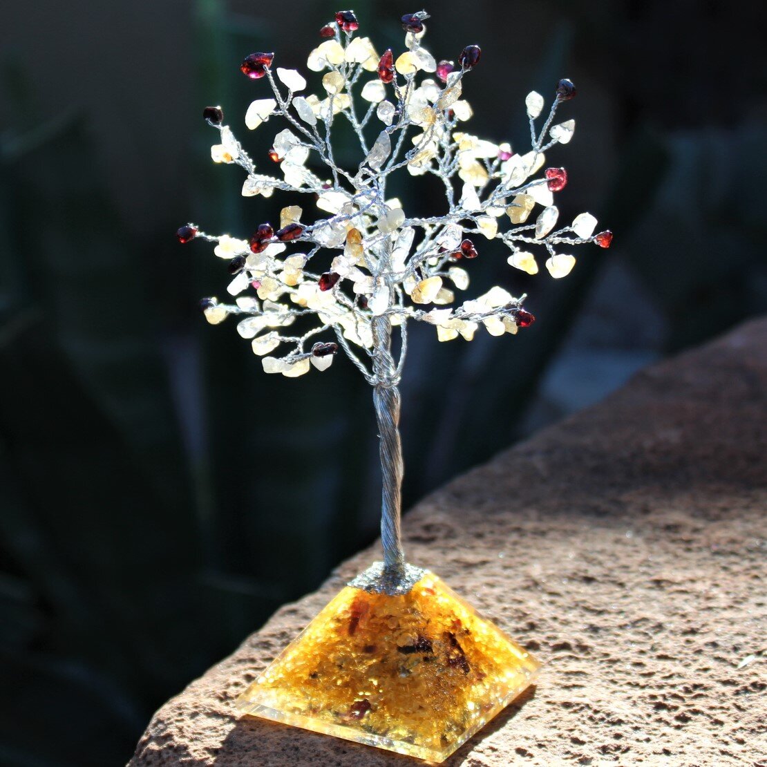 November New Picture Patio Tree.jpg