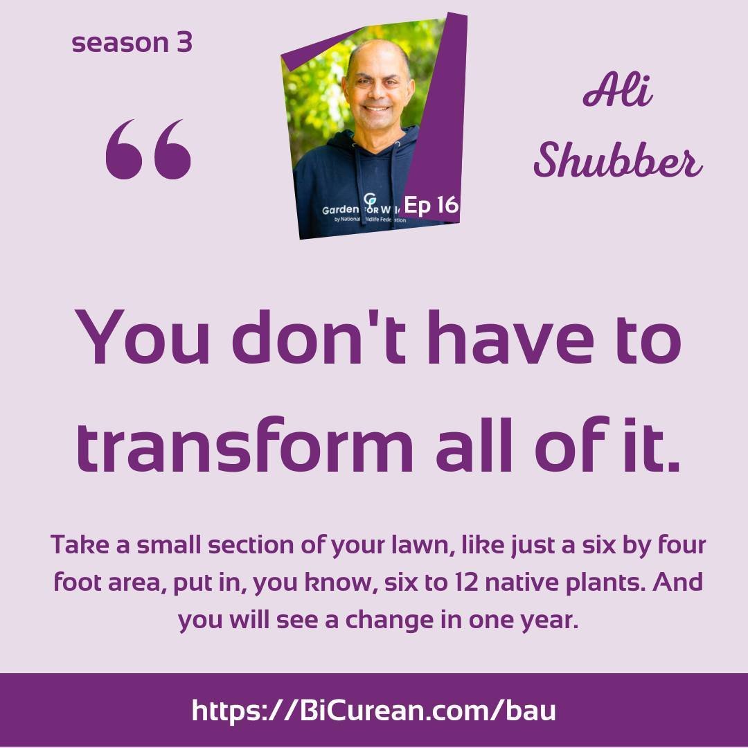 If you want to create meaningful environmental change and promote biodiversity in your community, you need to understand the importance of native plants and begin cultivating your own garden space as a haven for local wildlife. As Shubber Ali of Gard