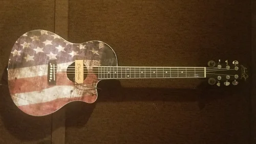 Jim Cat Custom Guitars, business photo 6