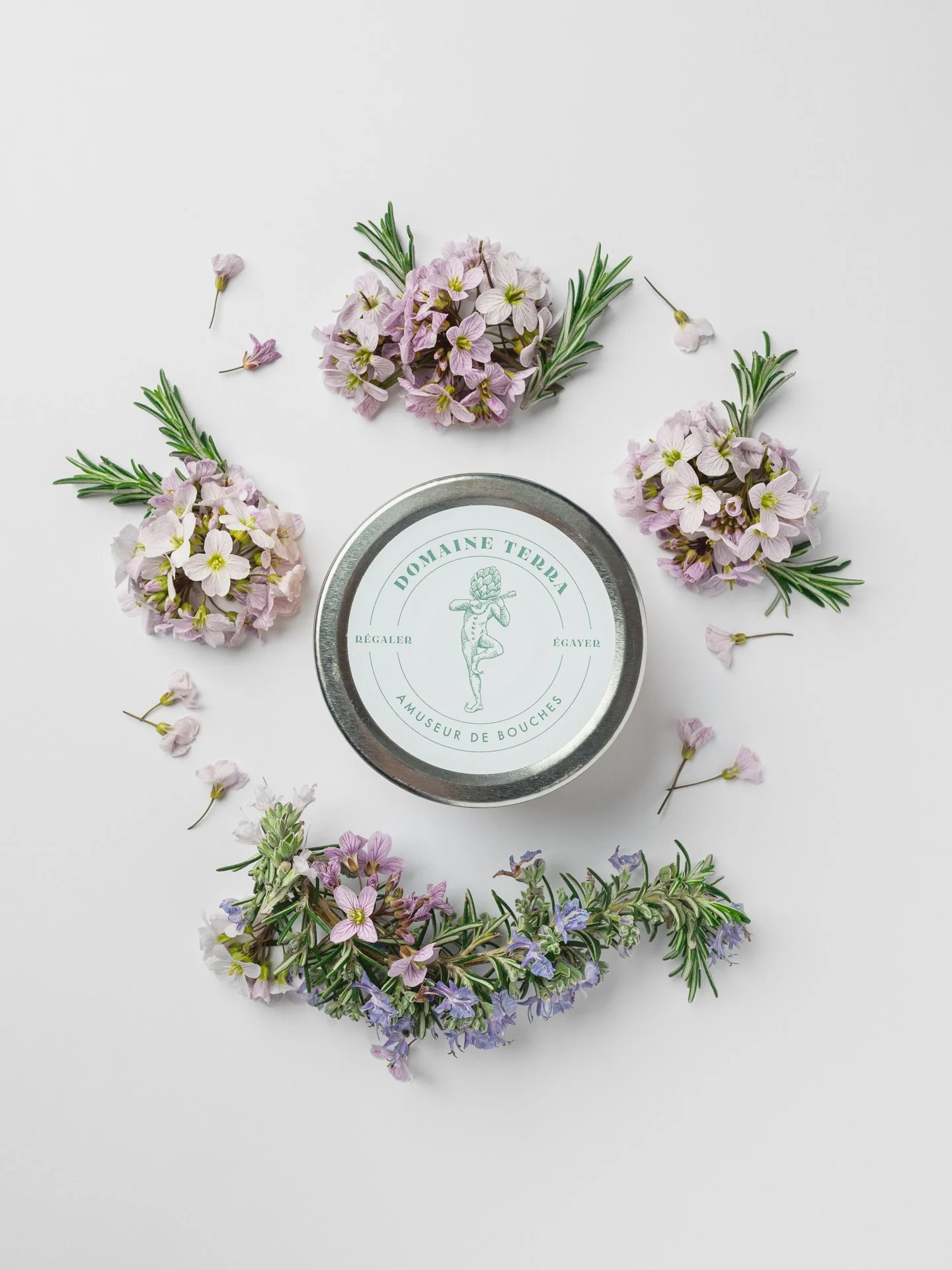 Fleurs de lavande et de mauve autour d'un pot rond avec un label 'Domaine Terra'