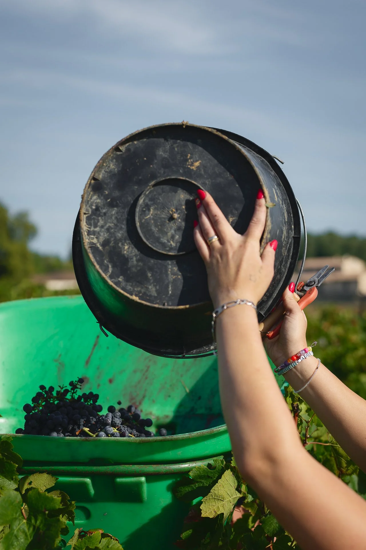 NCL Studio-02424-1920px.jpg