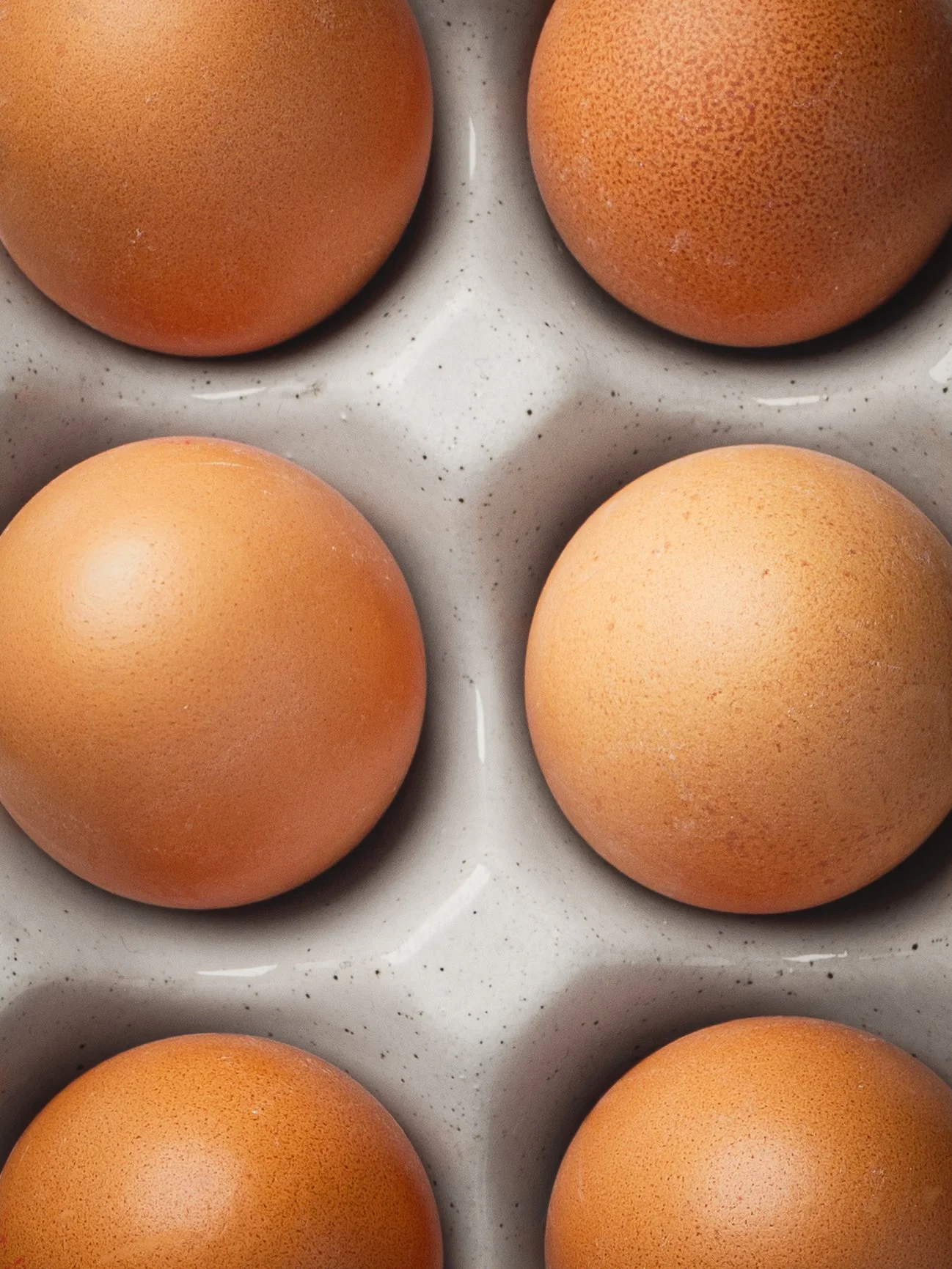 NCL Studio-06047-1920px.jpg