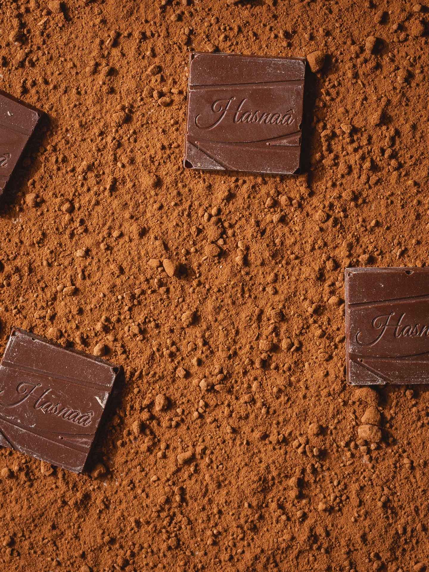 Cinq morceaux de chocolat au lait avec la marque "Hasnaud" gravée sur eux, posés sur du cacao en poudre.