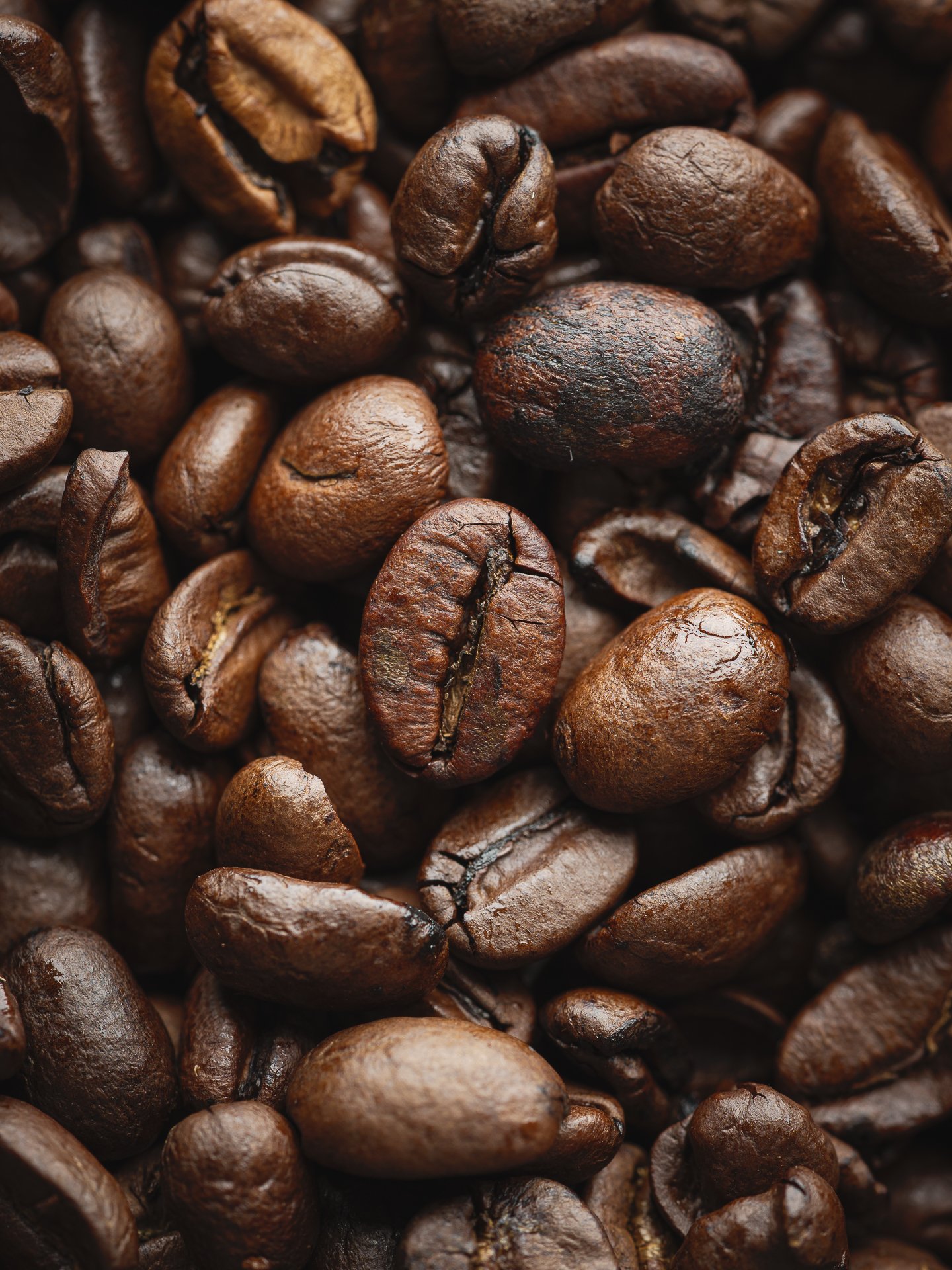 NCL Studio-05416-1920px.jpg