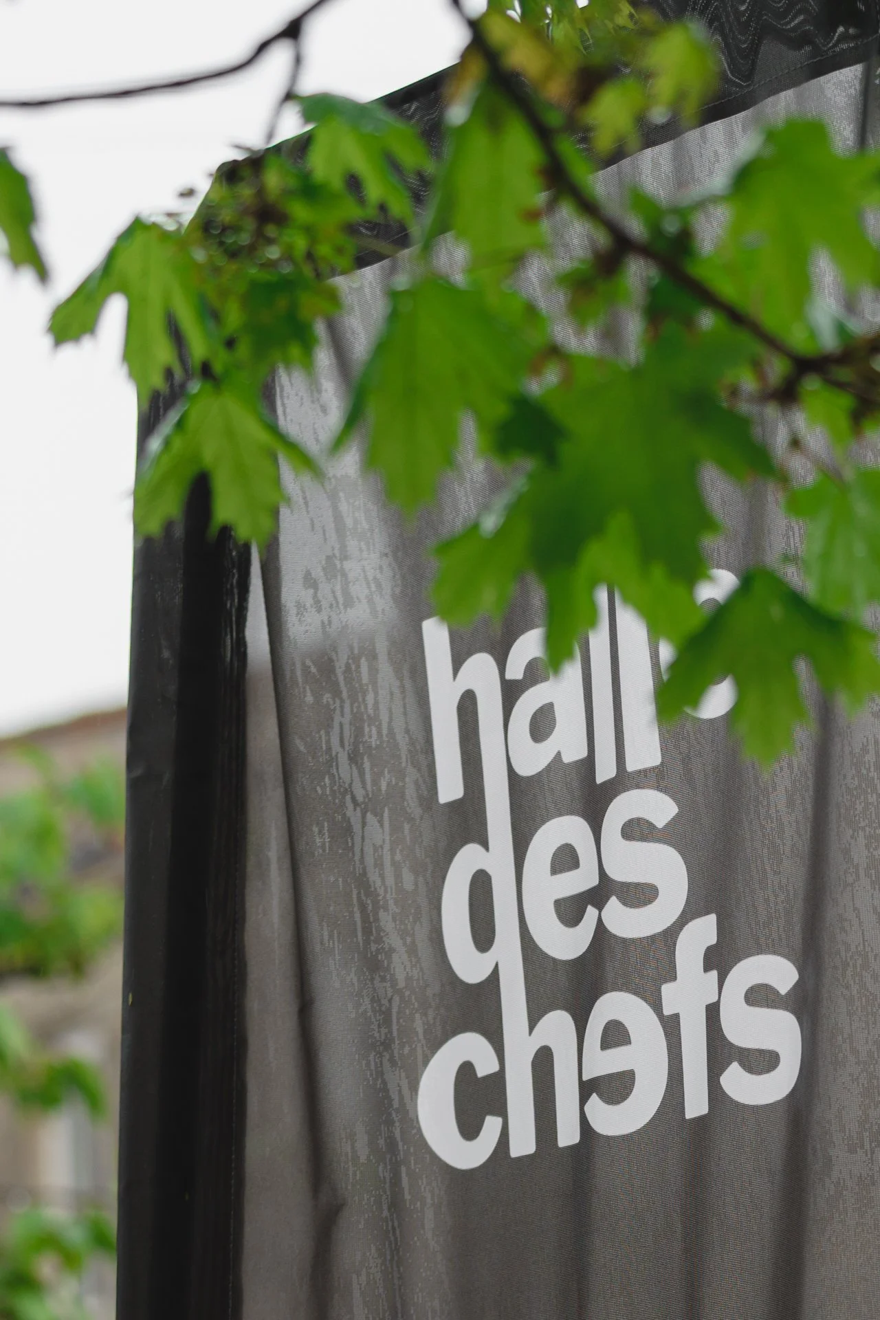 Une bannière de campagne ou une signalisation avec des feuilles vertes en premier plan et le texte partiellement visible "hal ... des" sur un fond gris, probablement dans un contexte urbain ou naturel.