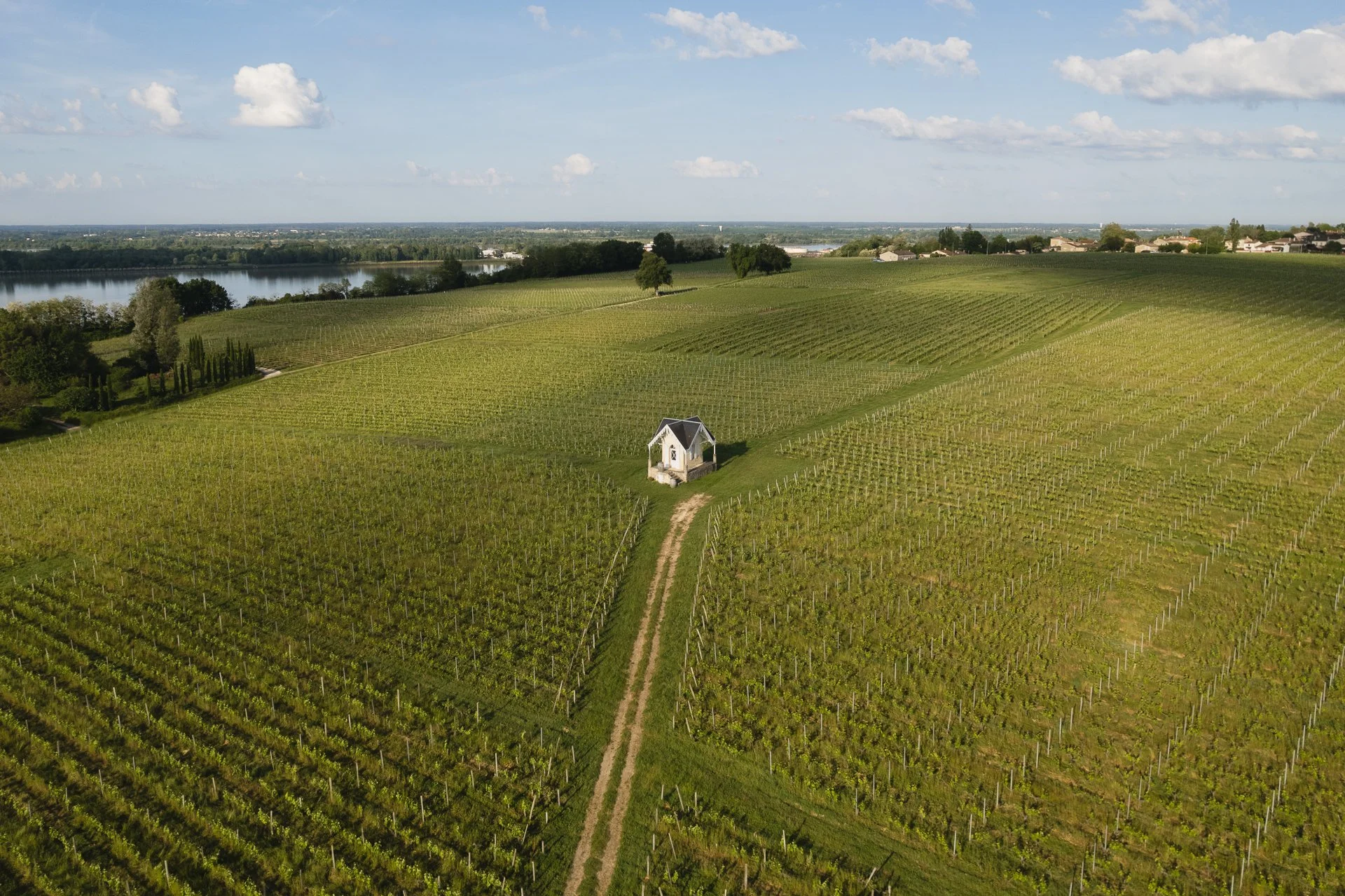 Vignoble avec un petit bâtiment blanc au centre, près d'une prairie verte, près d'un lac à gauche, et un ciel bleu avec quelques nuages.