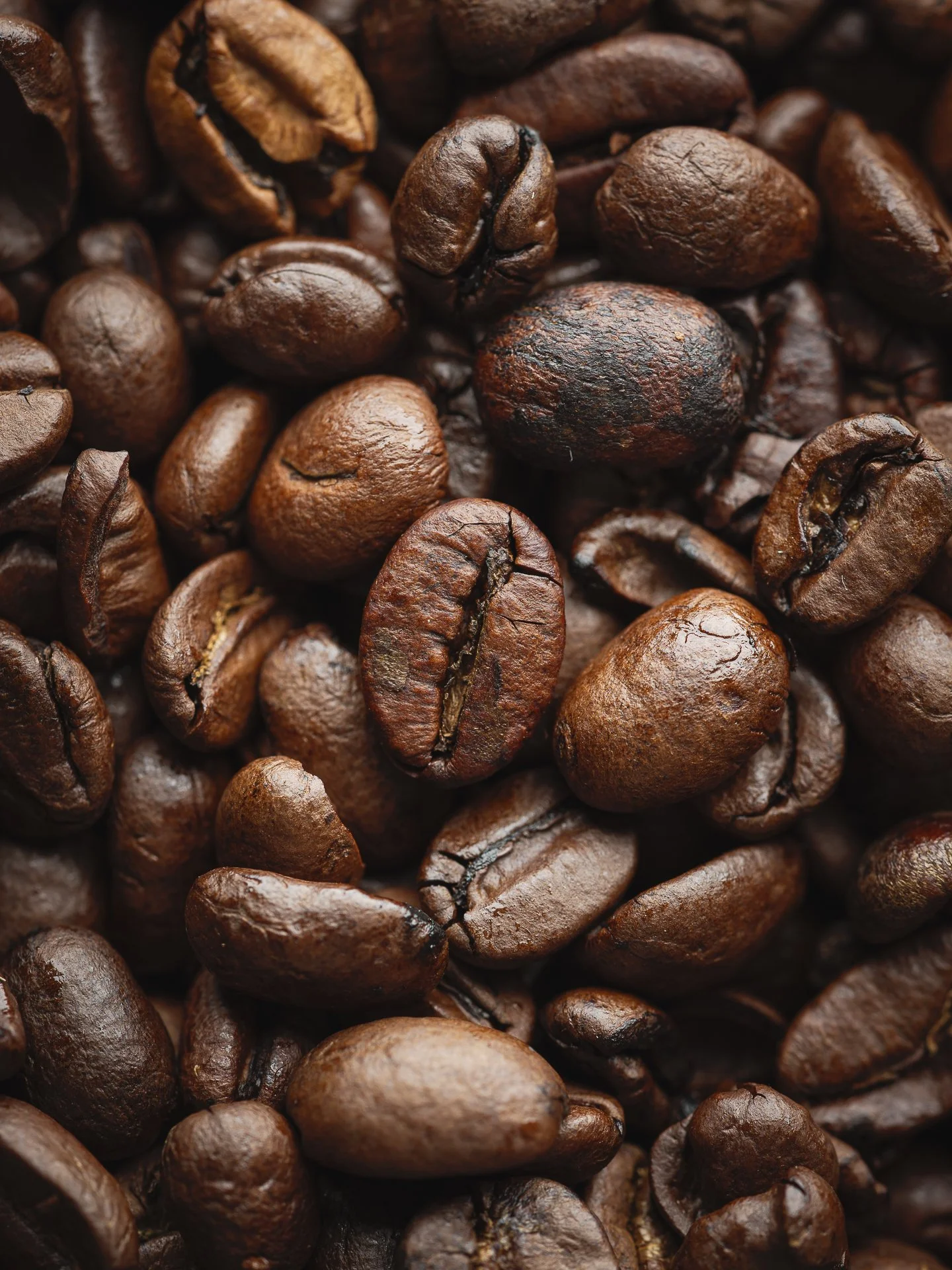 NCL Studio-05416-1920px.jpg