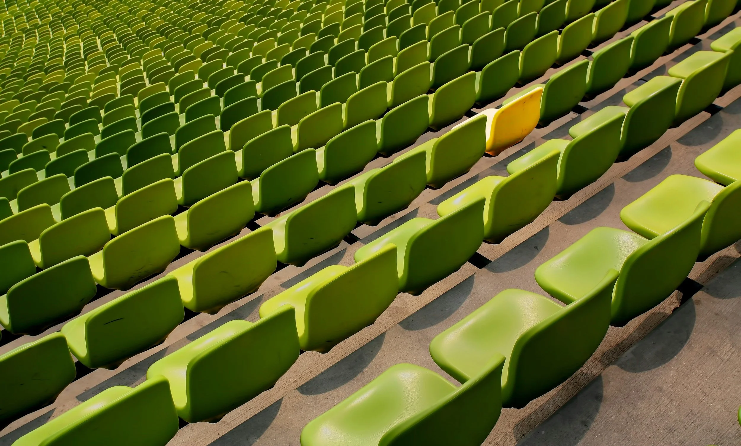 If Everyone Has Research, Leadership, and Activities, Here’s How to Stand Out to Top College