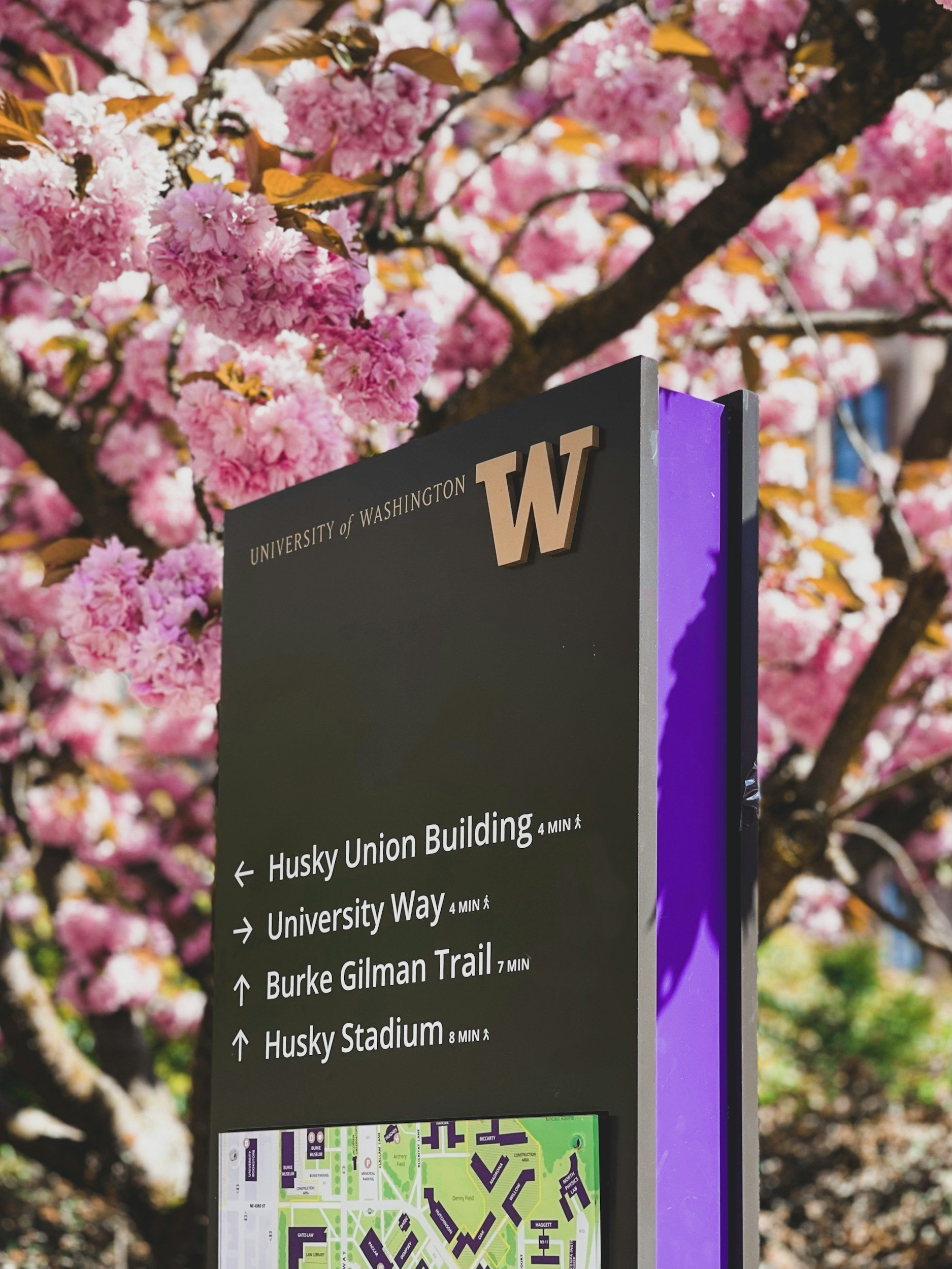 Inside WashU’s Bold Early Action Shift for the Class of 2031&nbsp;
