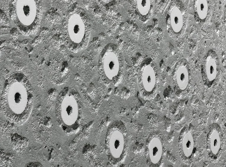 Detail, Silberlackätzung auf Styropor | Silvervarnish on Polystyrene