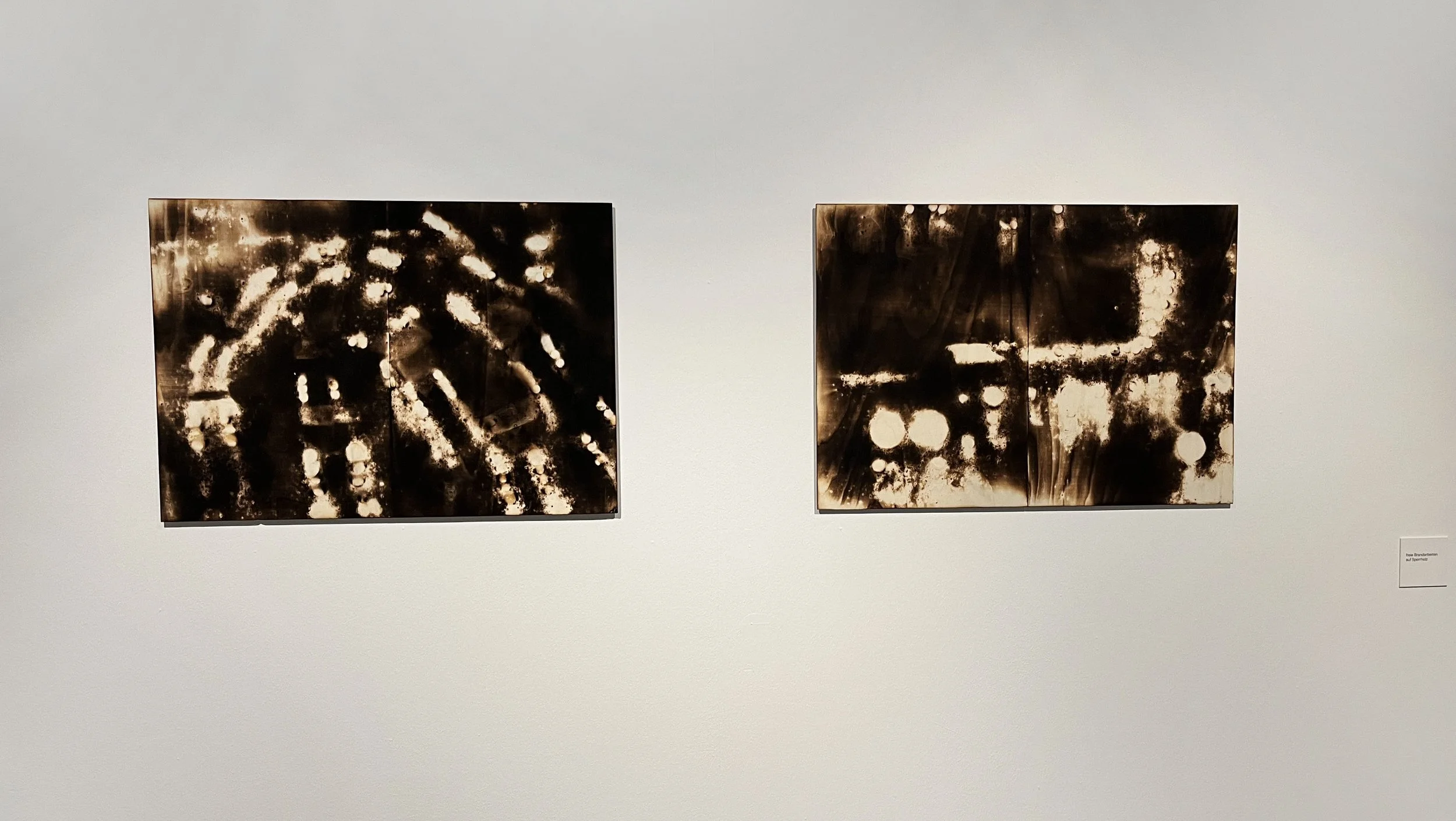 »Eigen ± Sinn«, Freie Brandings, 60 x 84 cm