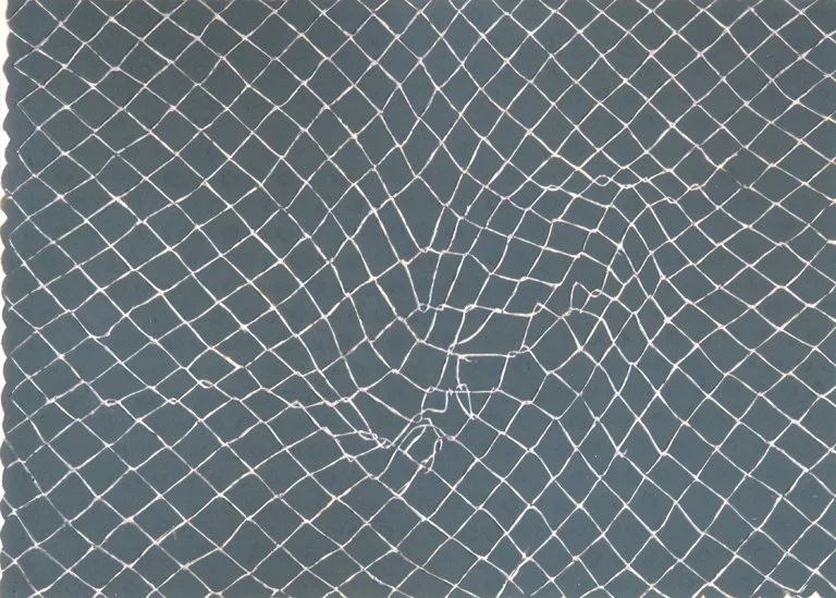 21 x 29 cm