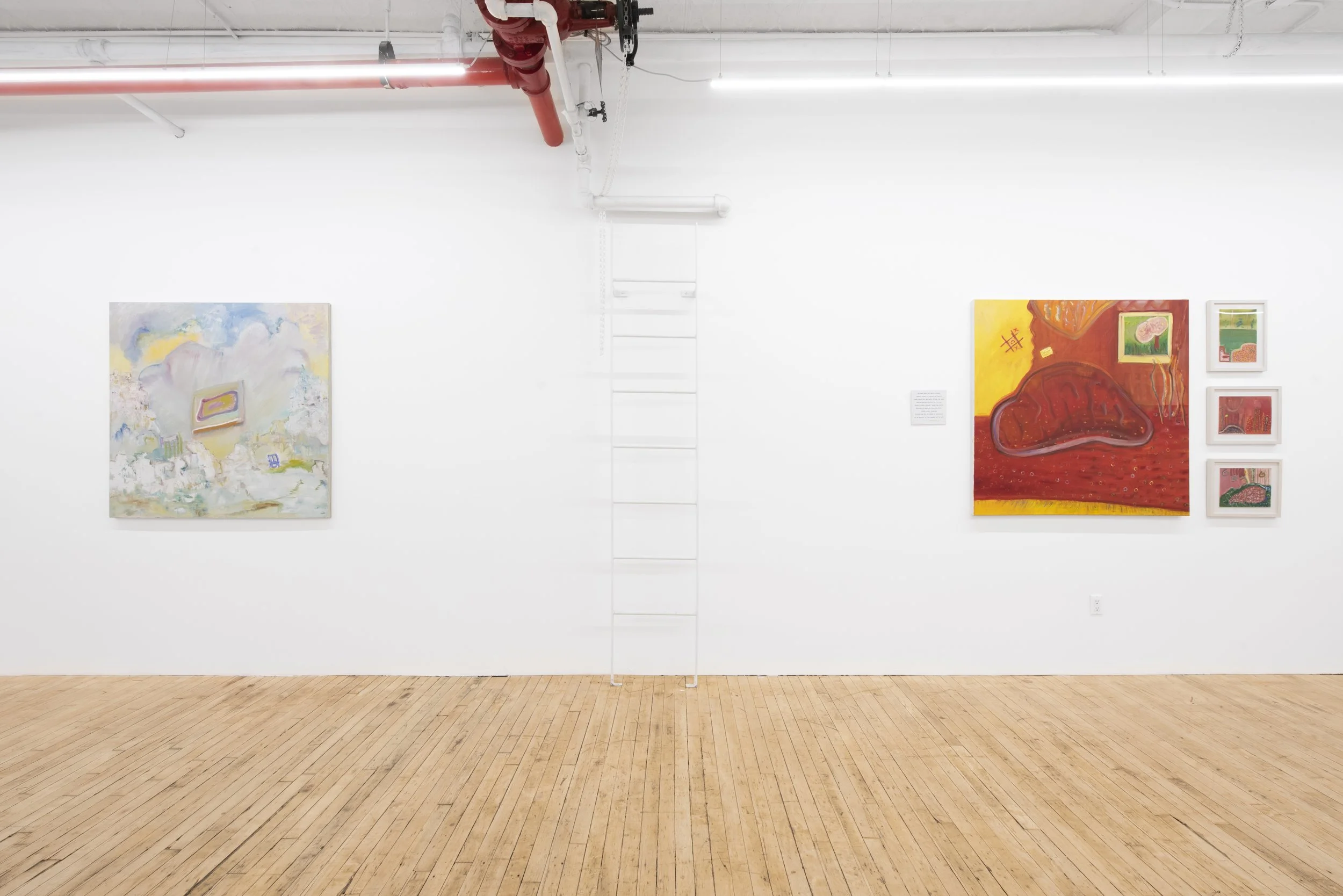 Kin Terrains, 2026, Bascha Mon Solo Show, Tappeto Volante installation view