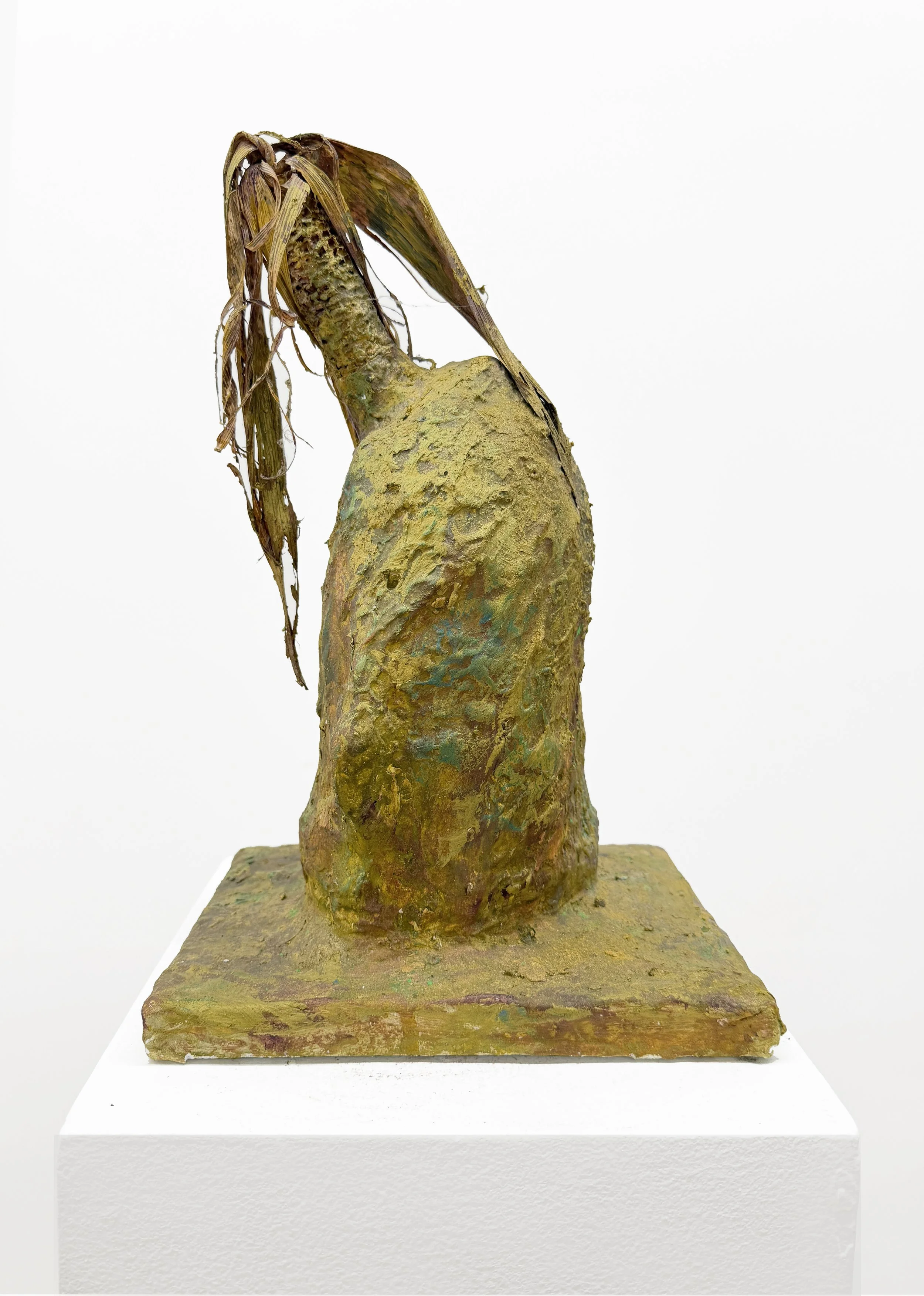 Bascha Mon, Head 2, 1995–2007, plaster, soft pastel, flowers, feather and encaustic, 9.5 × 18 × 8 in